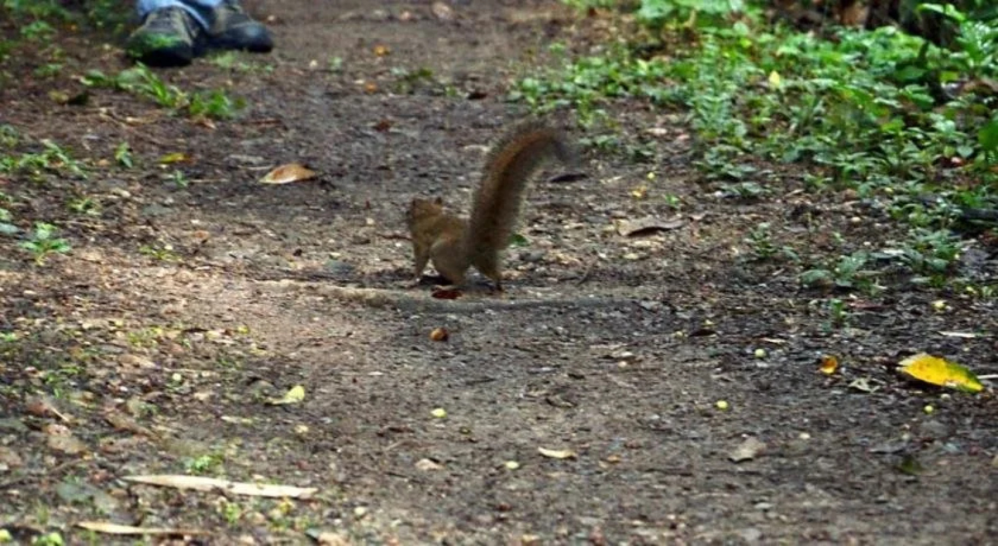 Austria Hostel & Pousada