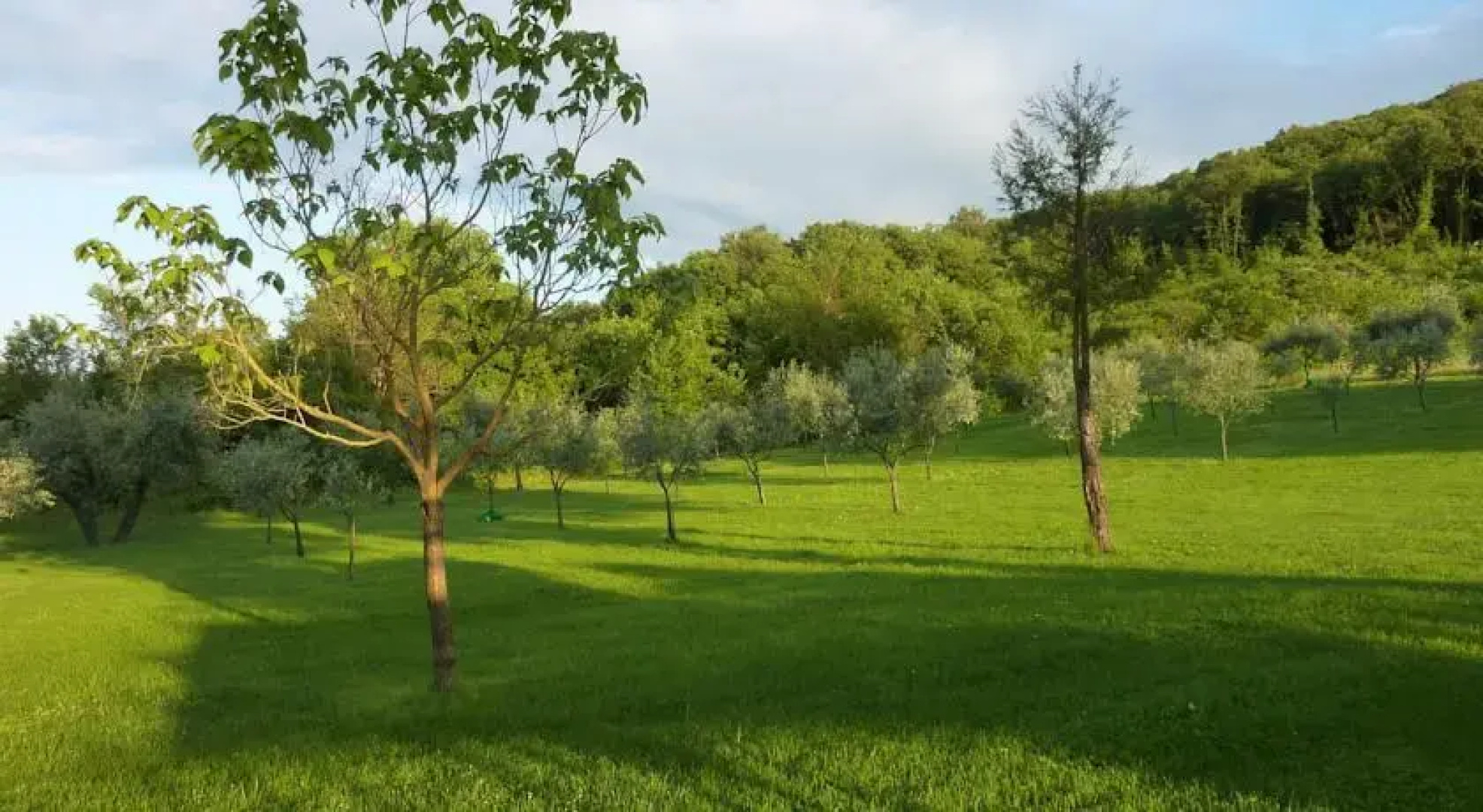 Casale Margherita