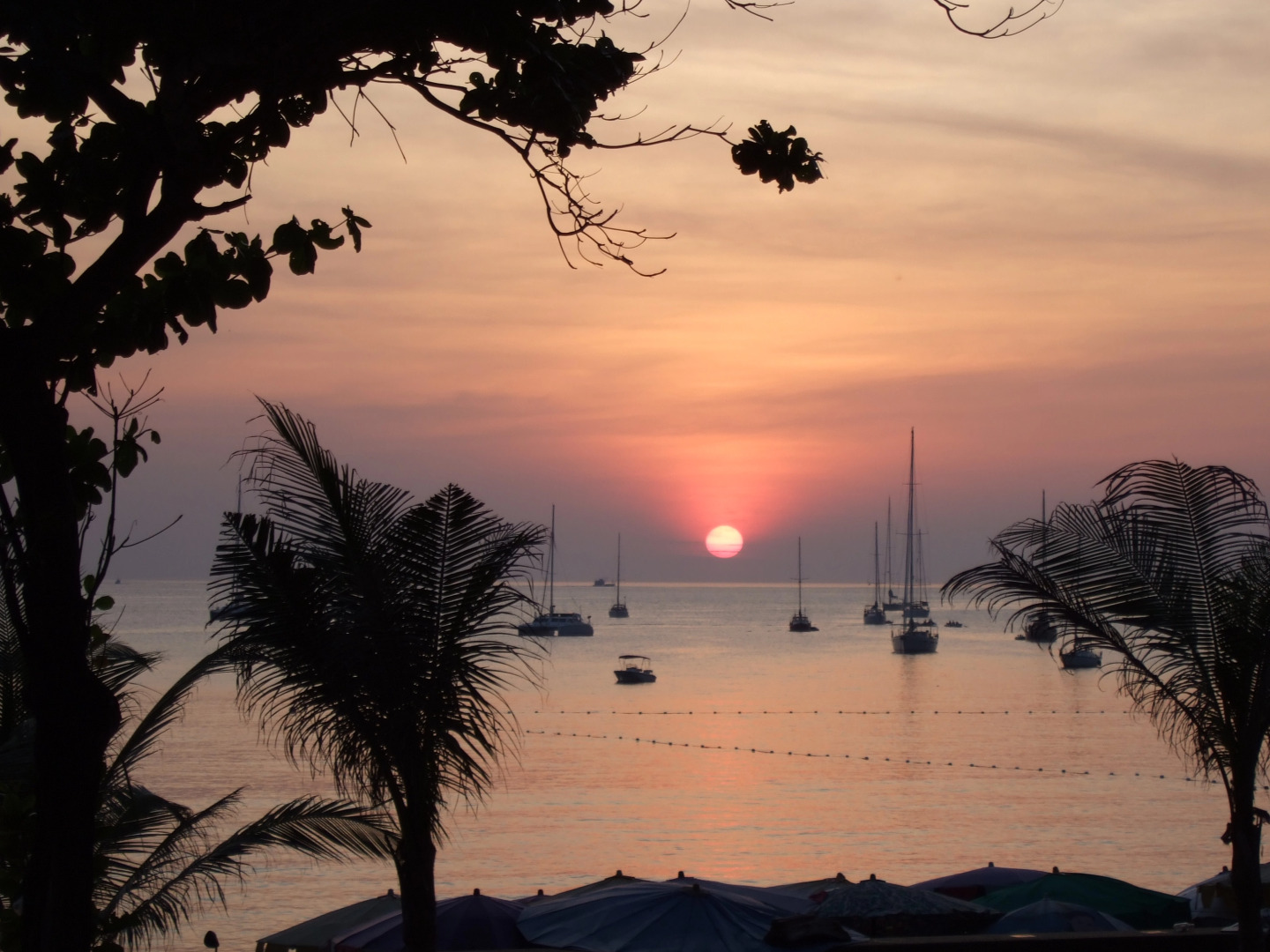 Mangosteen Ayurveda & Wellness Resort