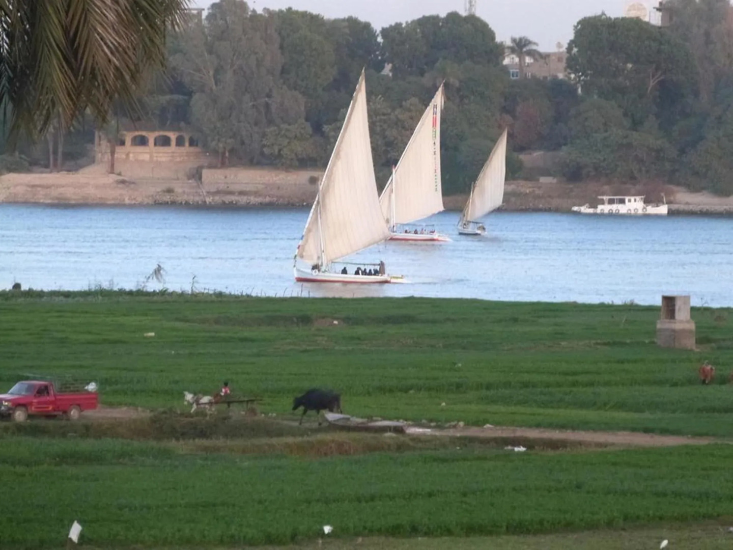 Nile View Hotel