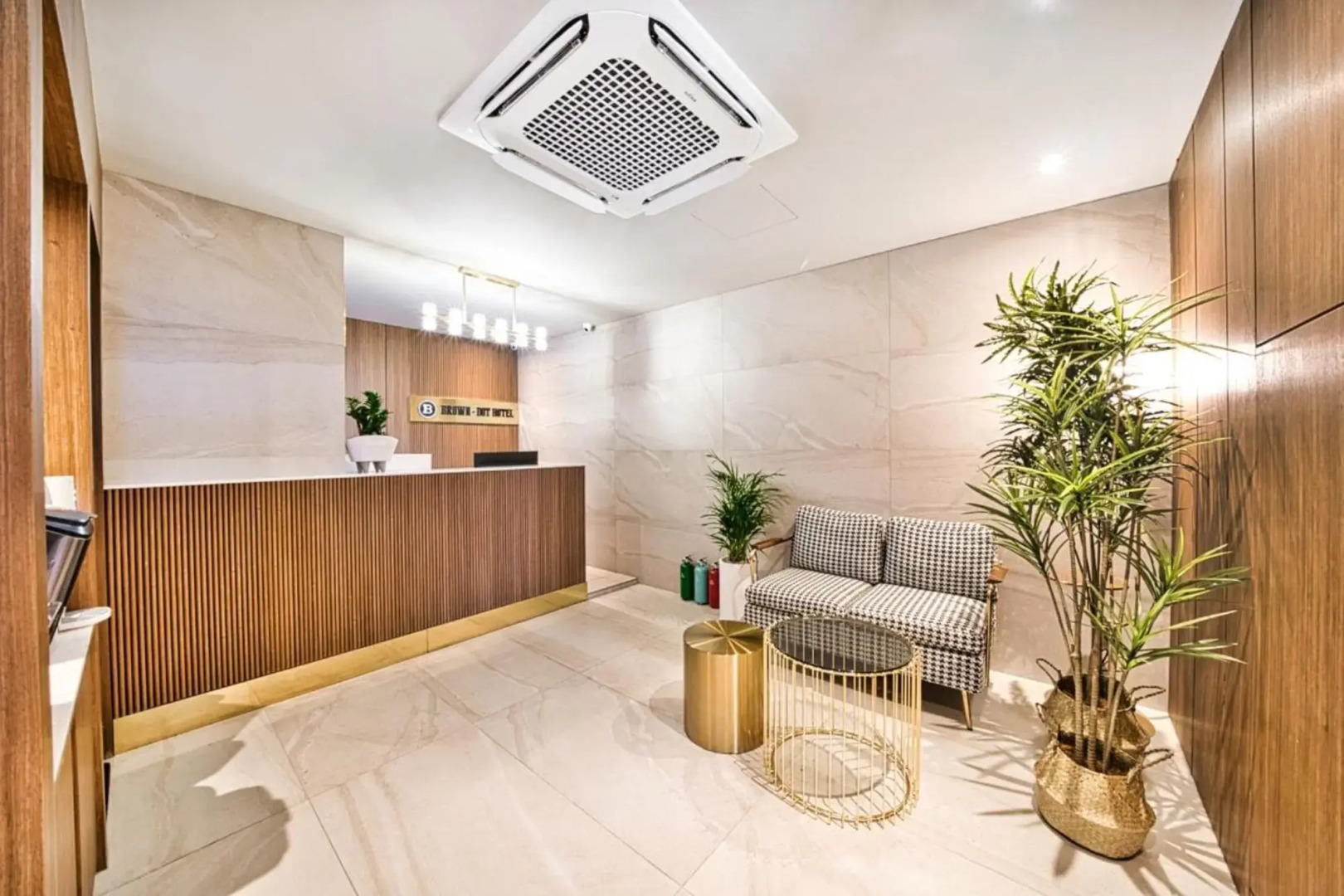 Pohang Terminal Brown Dot