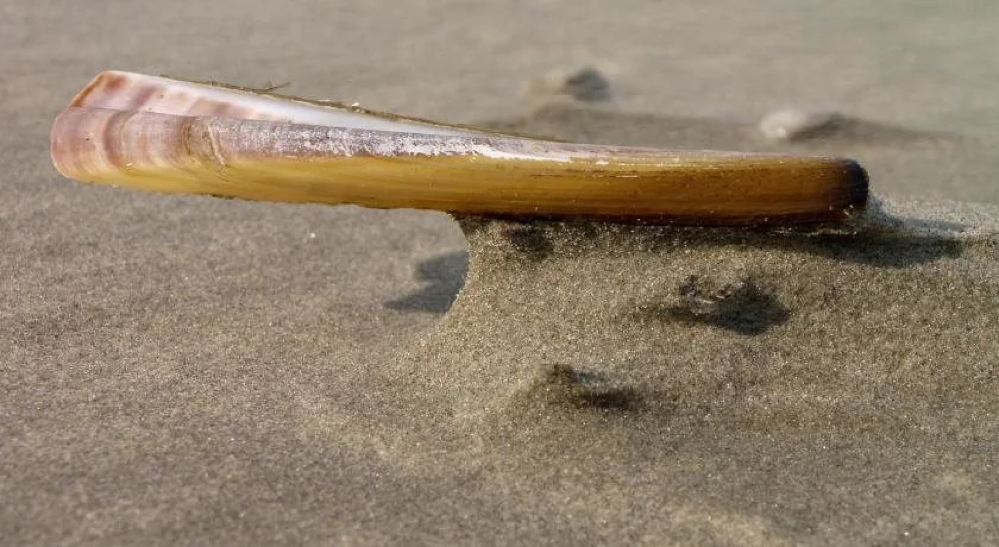 Hotel Brasserie Om de Noord