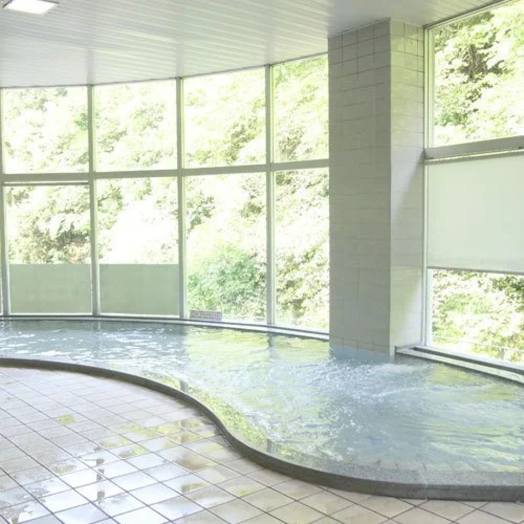 Nibukawa Onsen Hotel