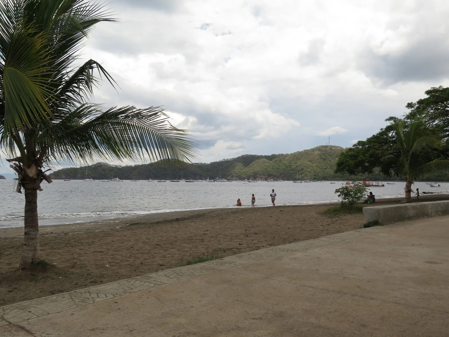 The Palms At Coco Beach