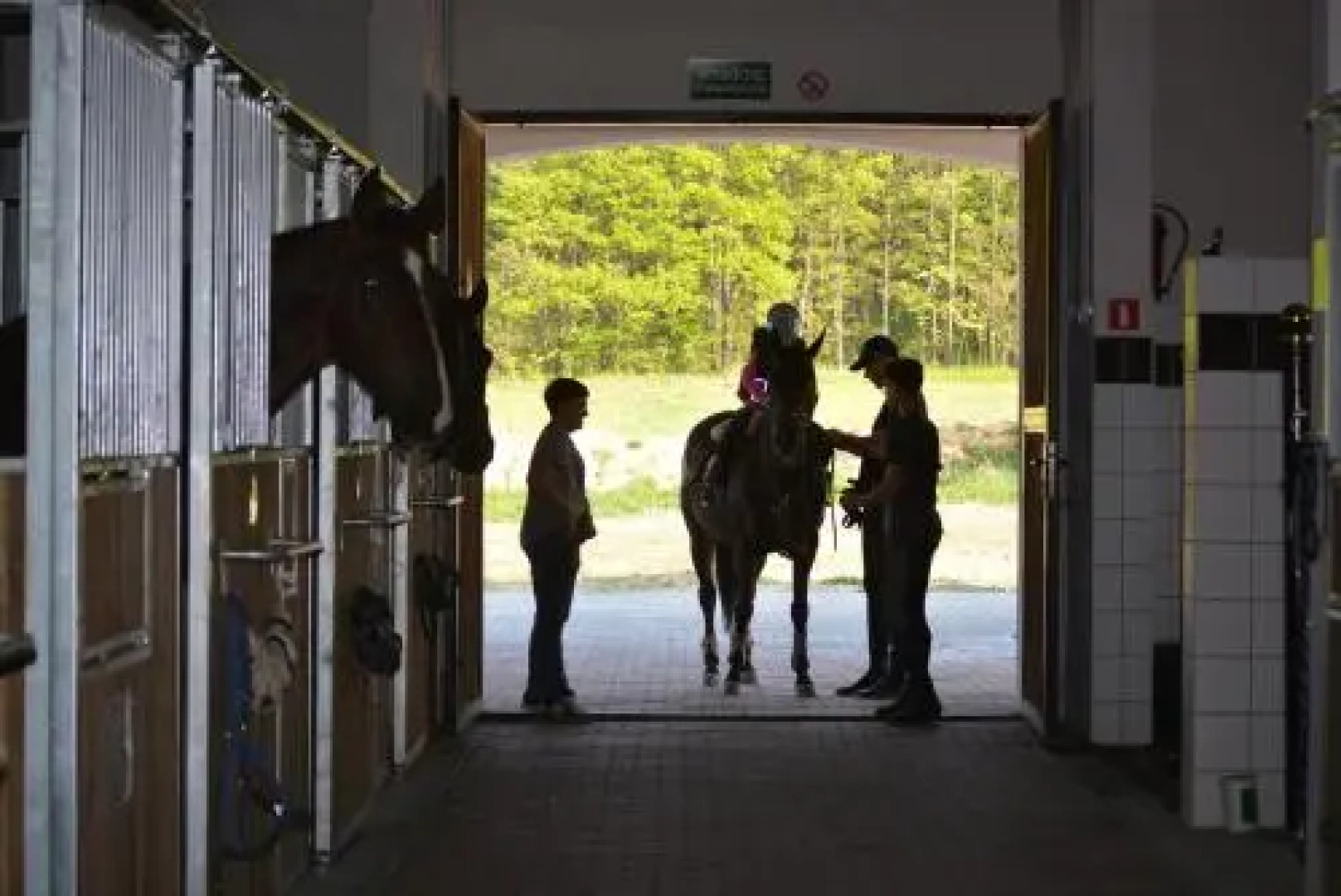 Storczykowe Wzgórze