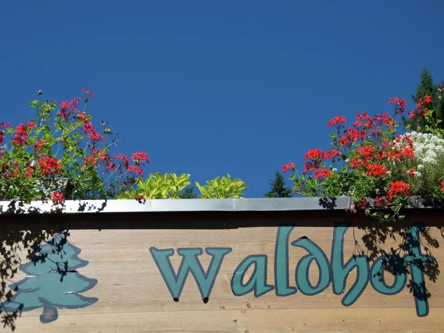 Spacious Apartment in Hermagor near Nassfeld-Pressegger