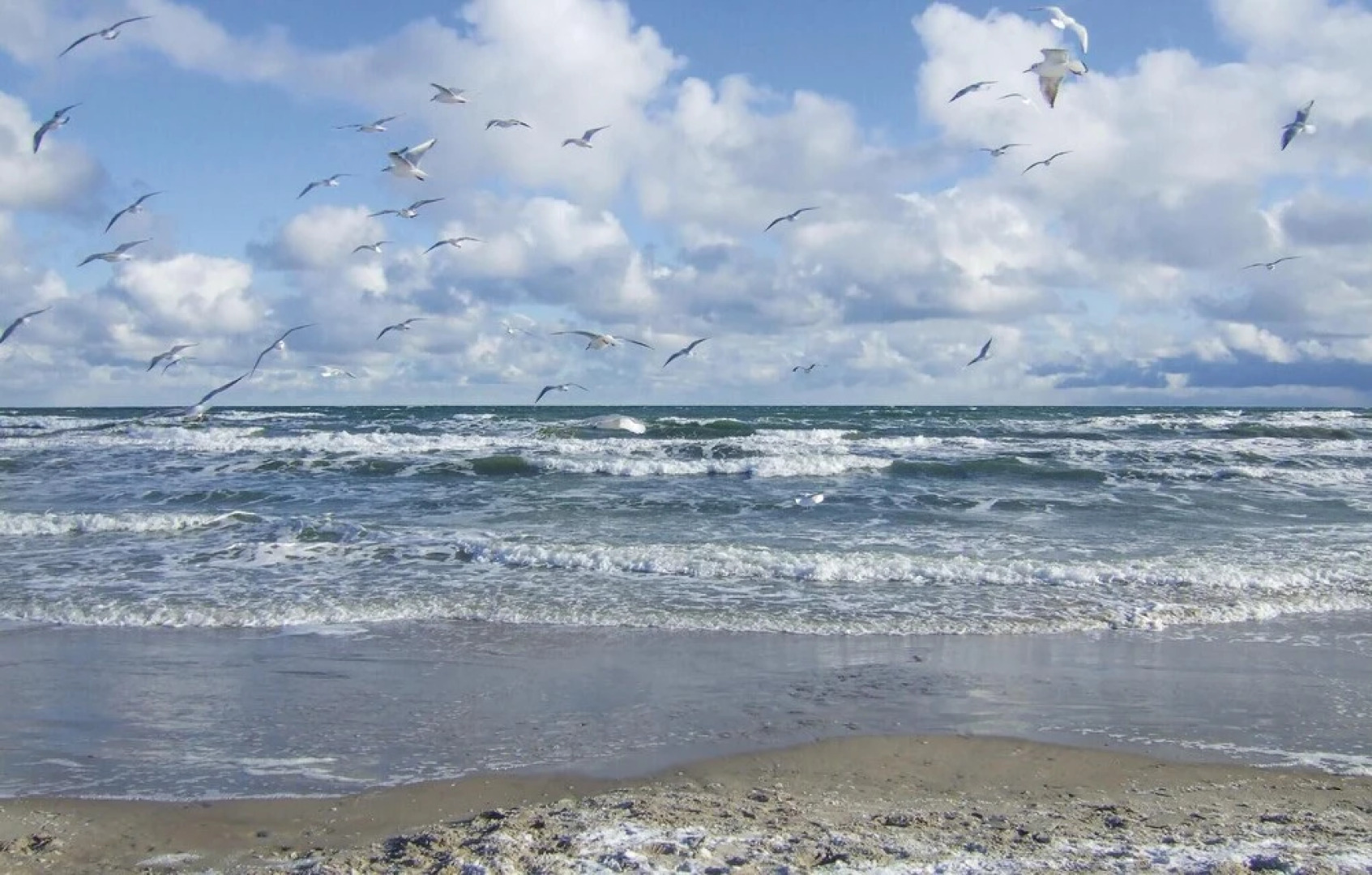 Nice Home in Zierow OT Poeler Drift With 2 Bedrooms, Sauna and Wifi