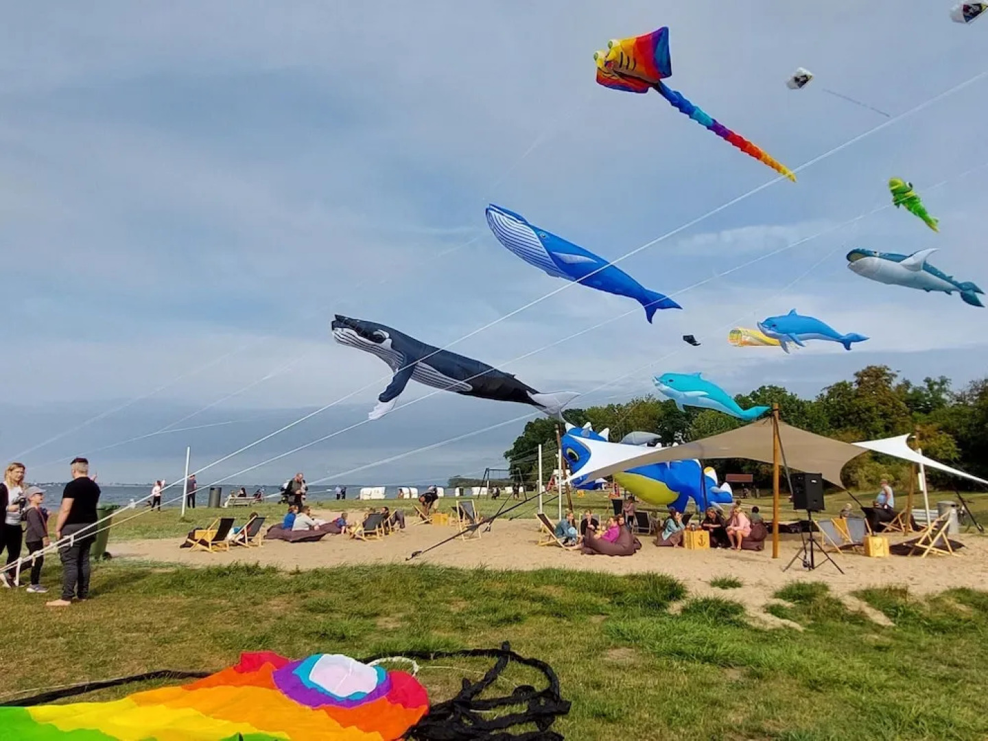 Wohnung in Strandnahe