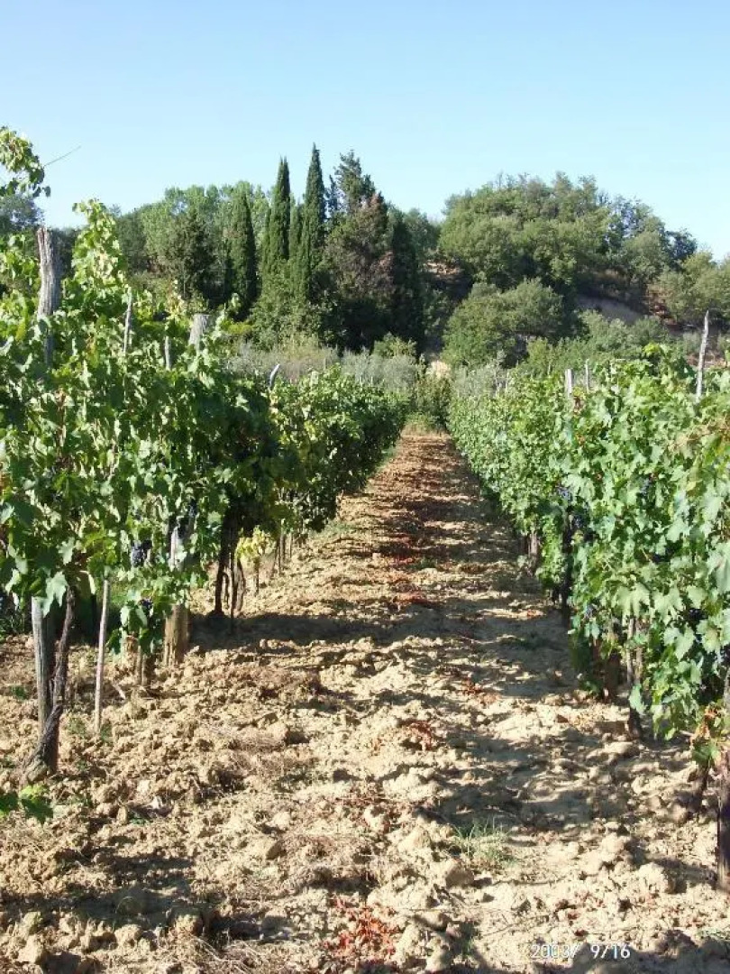 Agriturismo San Giovanni