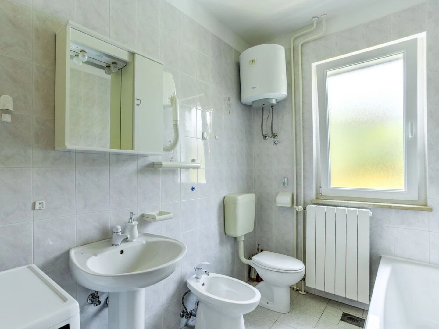 Laurus Tuli Evica in Tuli Evica