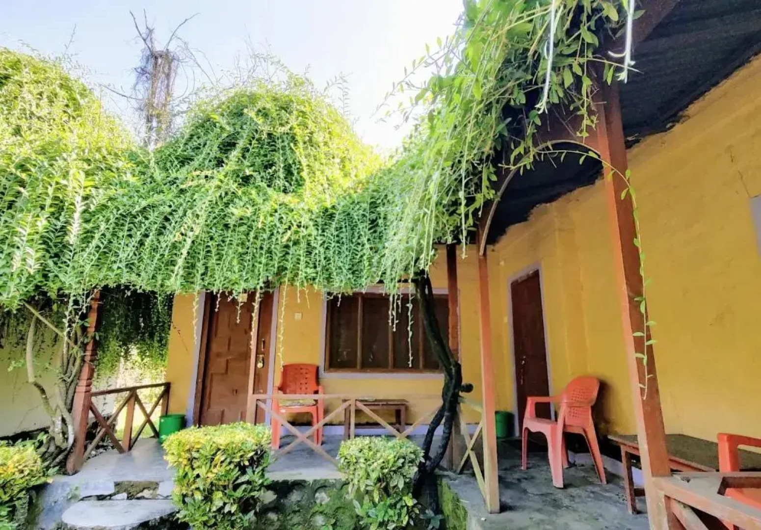 Jungle Heaven Hotel and Cottage