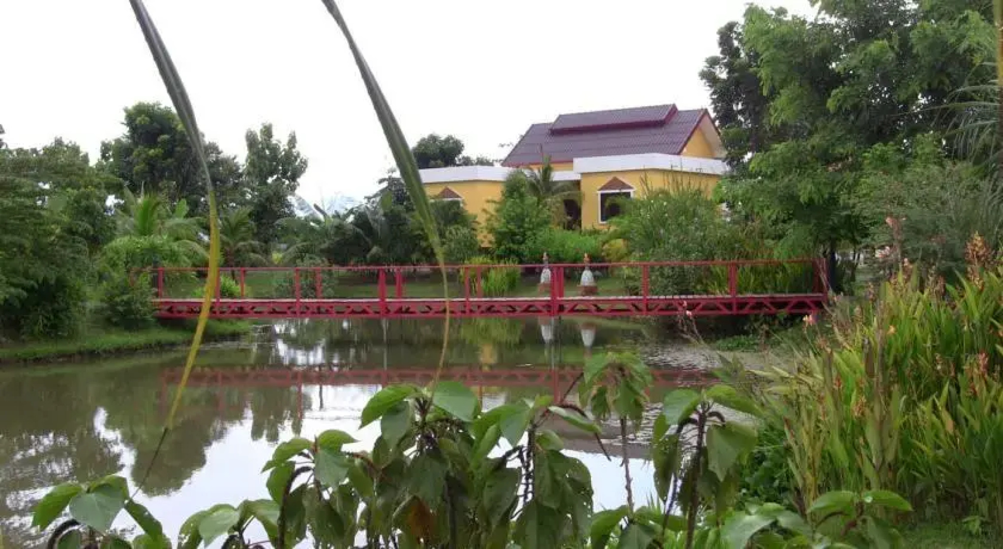 The Yellow House @ Chiang Mai