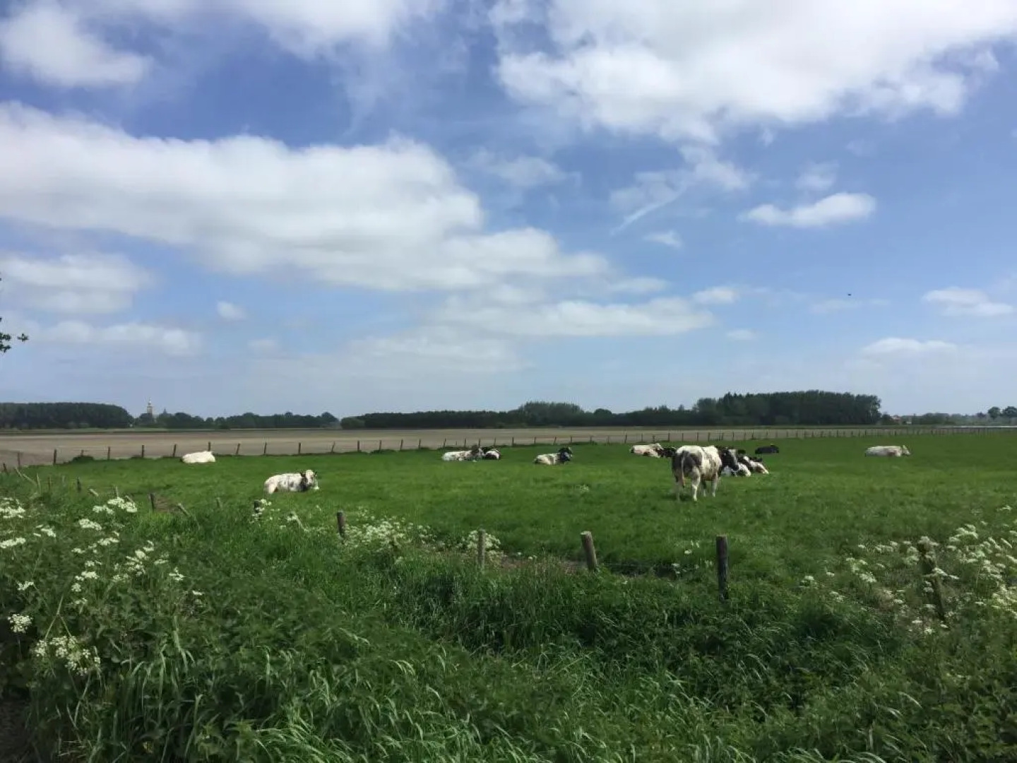 Residence De Kaaipoort appartementen