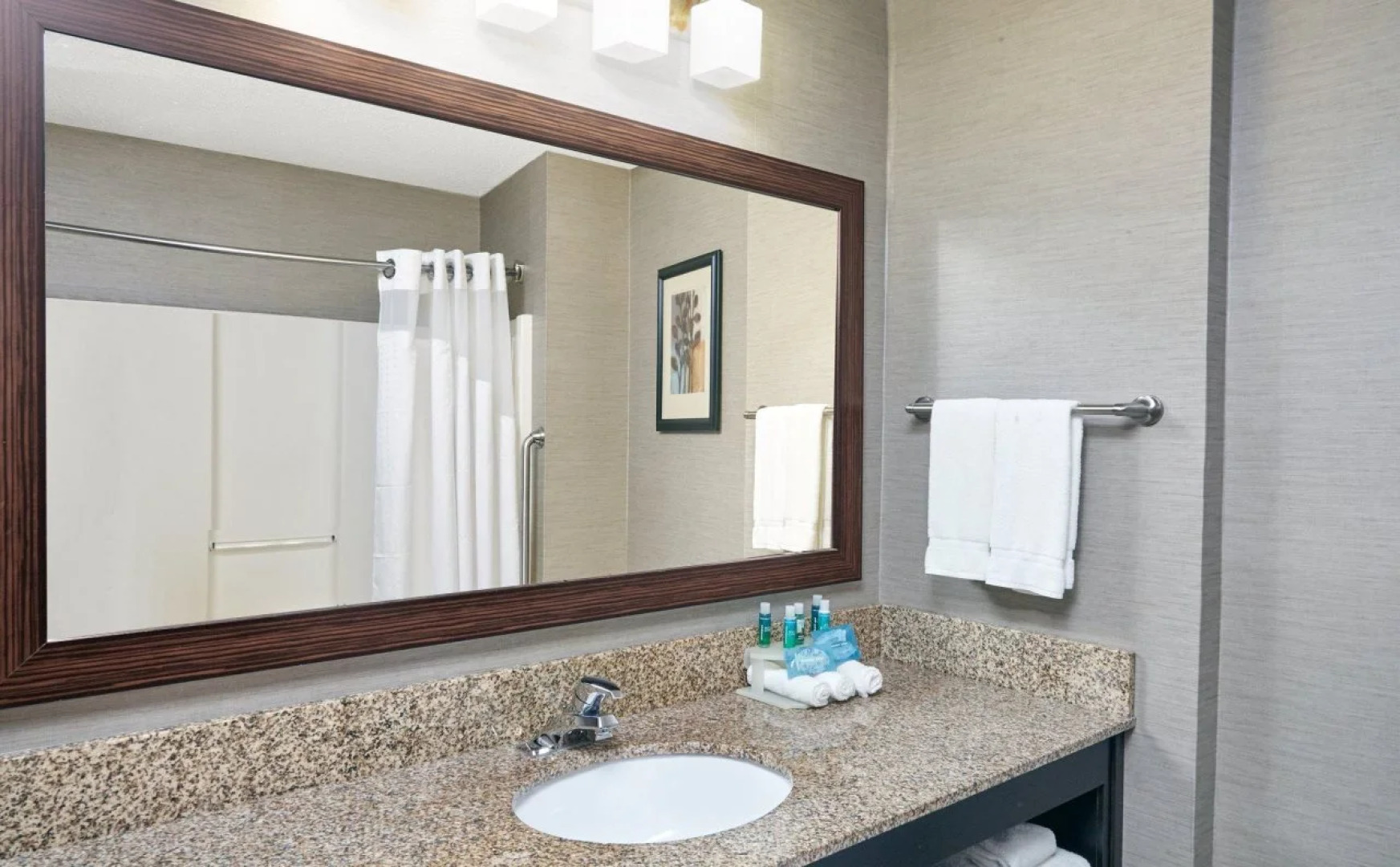 Holiday Inn Express Hotel & Suites Buford-Mall Of Georgia