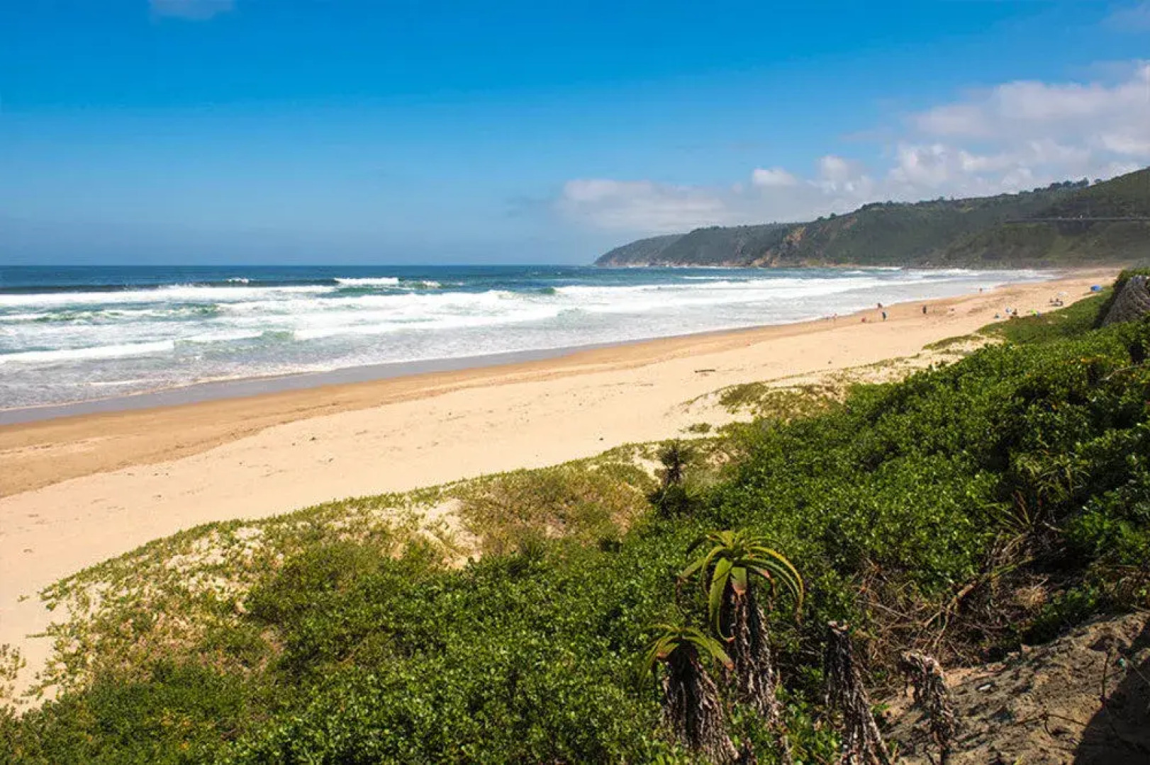 Wilderness Beach Lodge