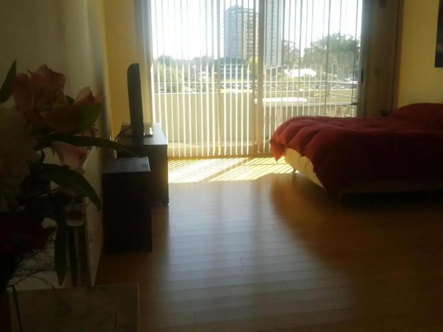 Departamentos Tigre 01