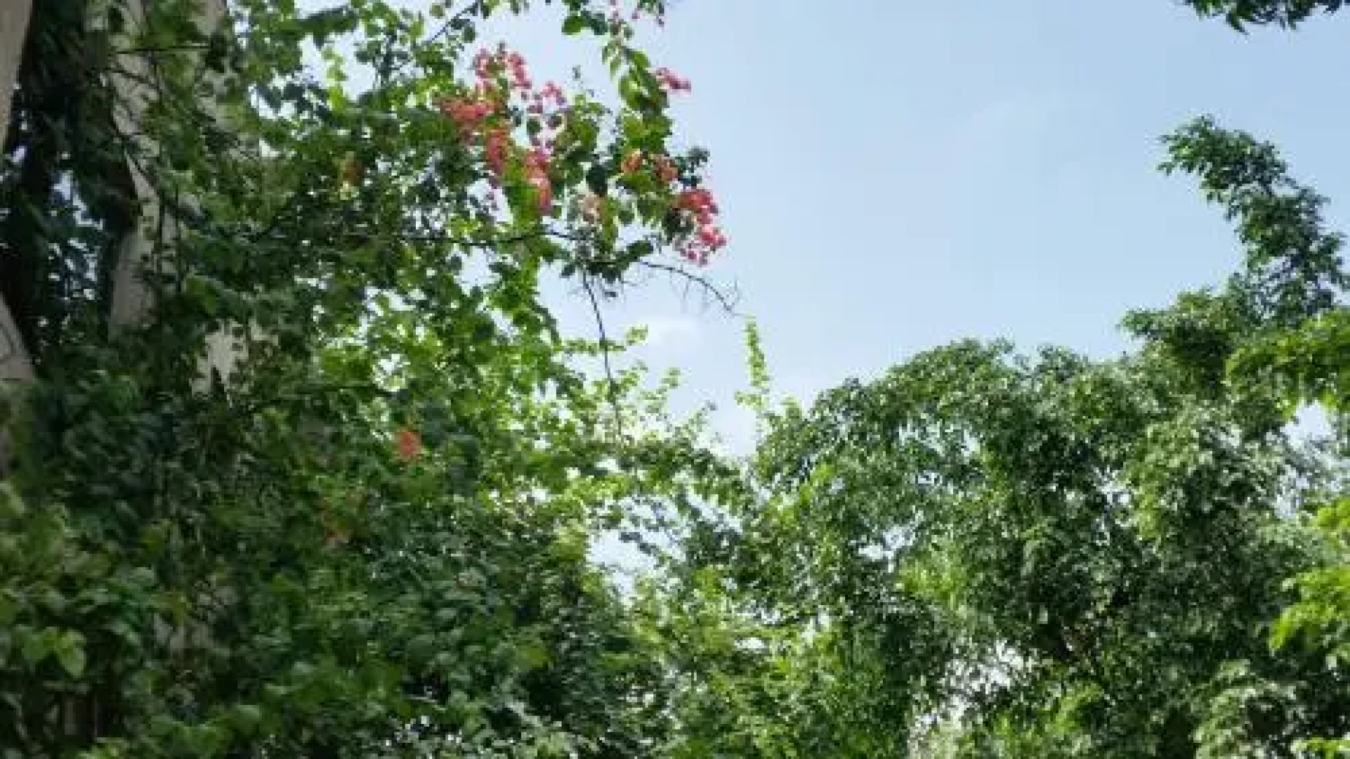 Real Homes - Kyoto Court