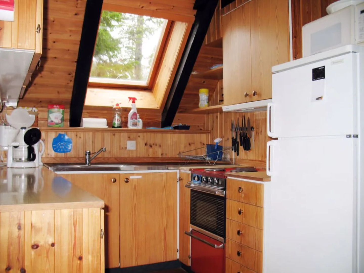 Lofsdalen Fjällbjörken (HJD054)