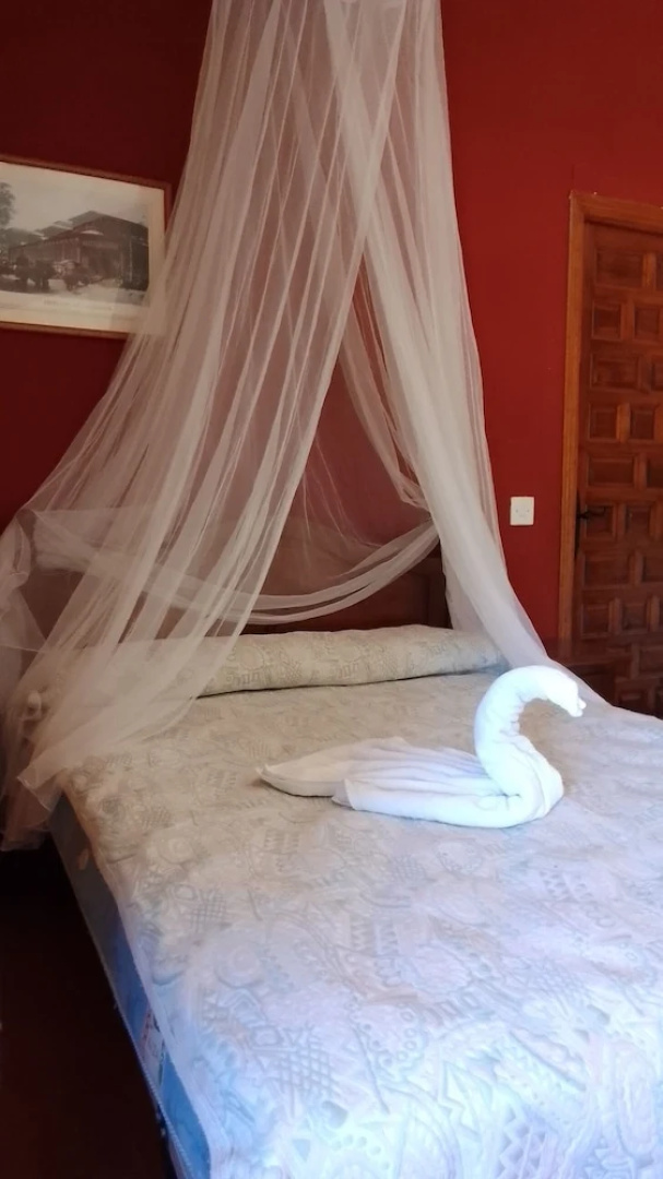 Eco Art Hotel