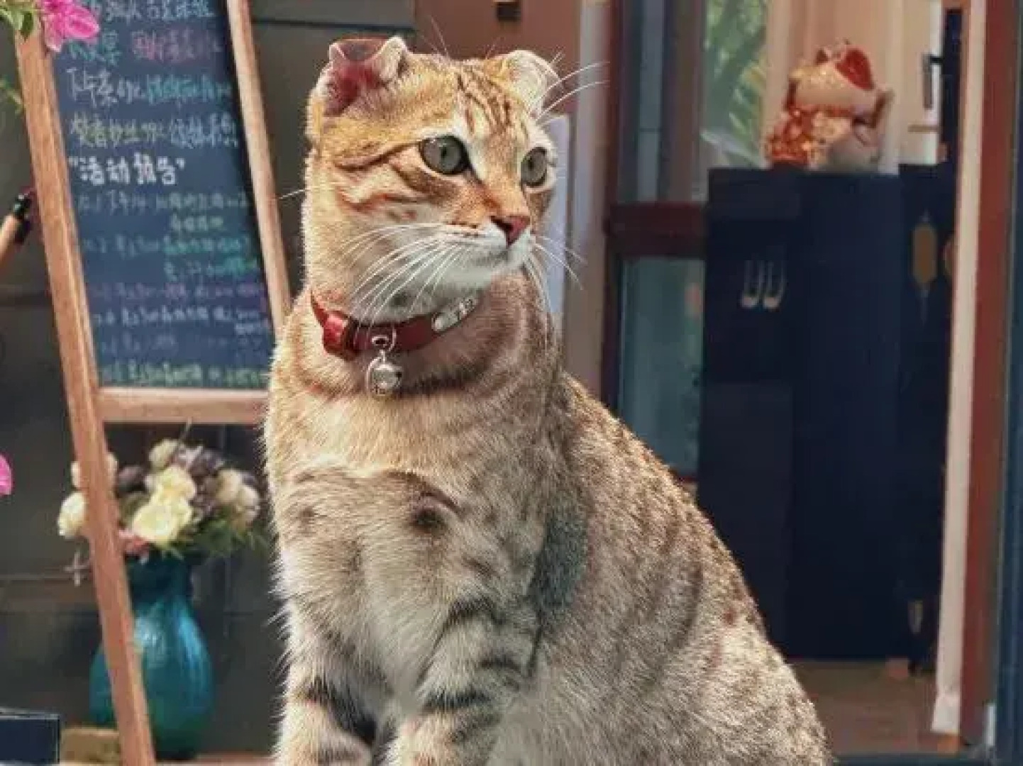 Wuzhishan Yisuli Theme Hotel