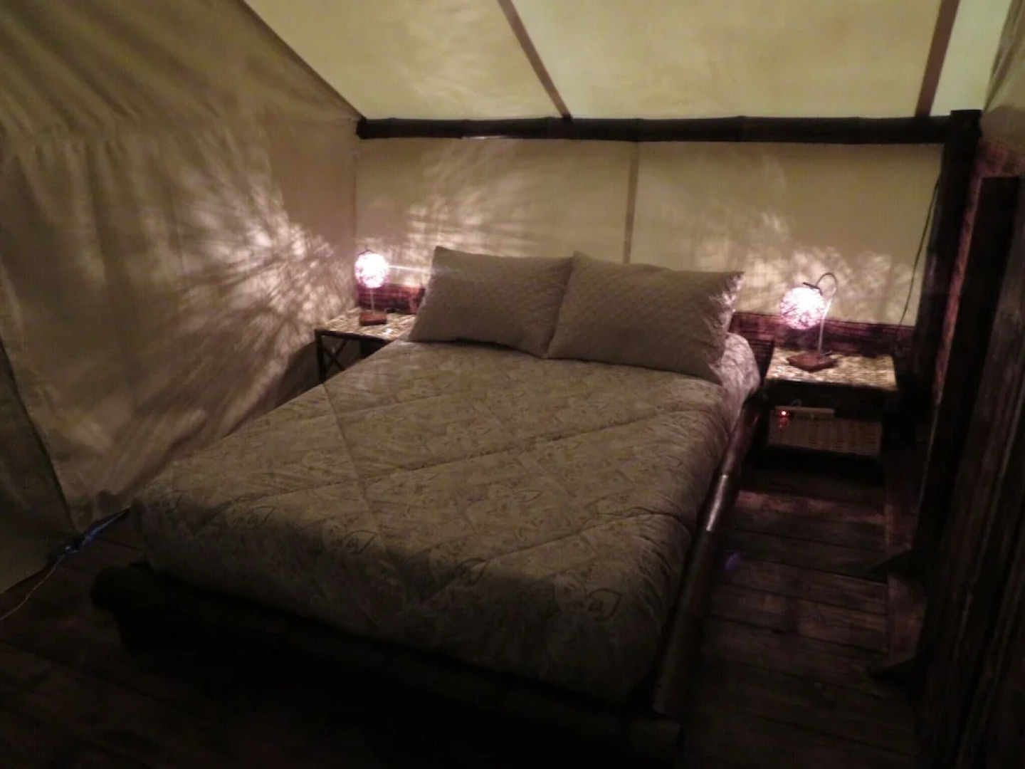 Glamping tipo safari