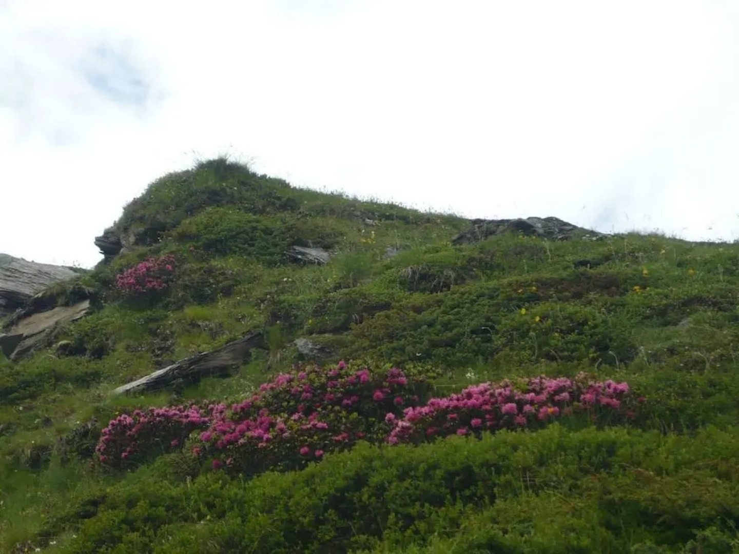 Bed and Breakfast Casa San Gallo