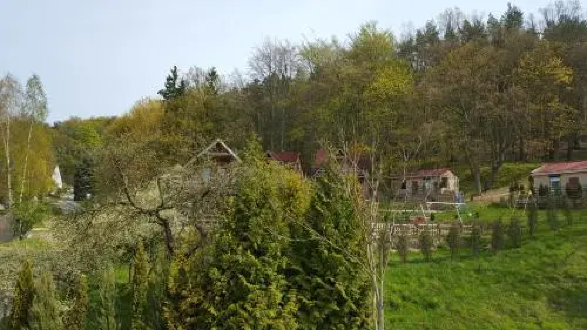 Osrodek Wczasowy Zloty Dab Domki