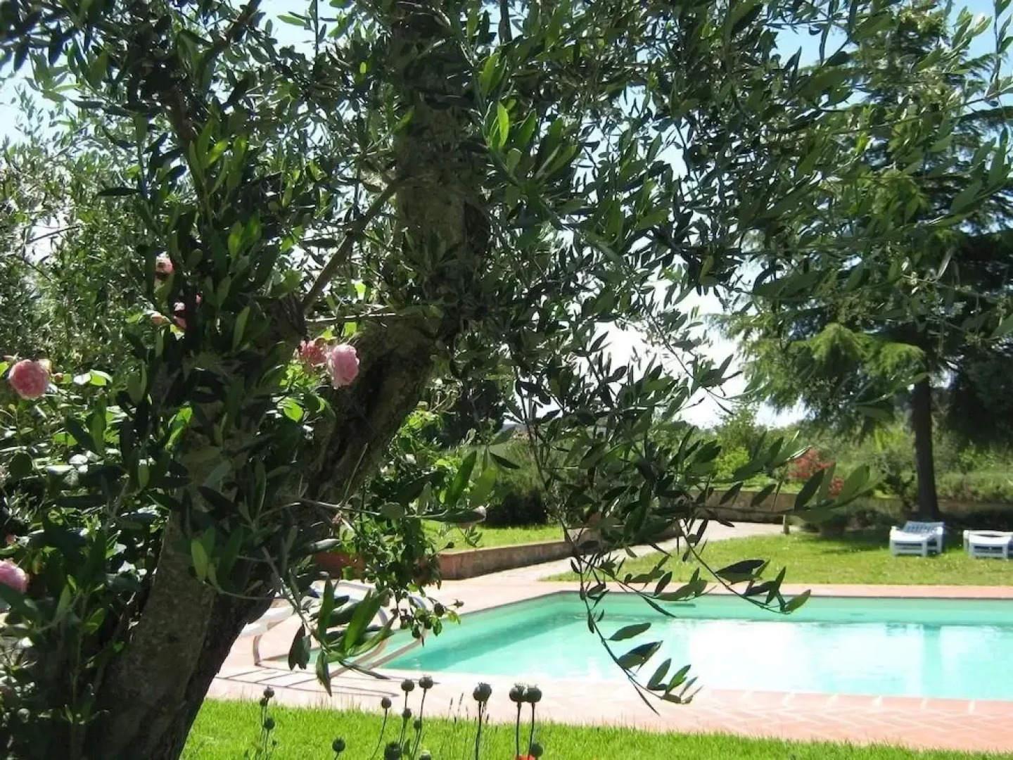 Agriturismo Poderino