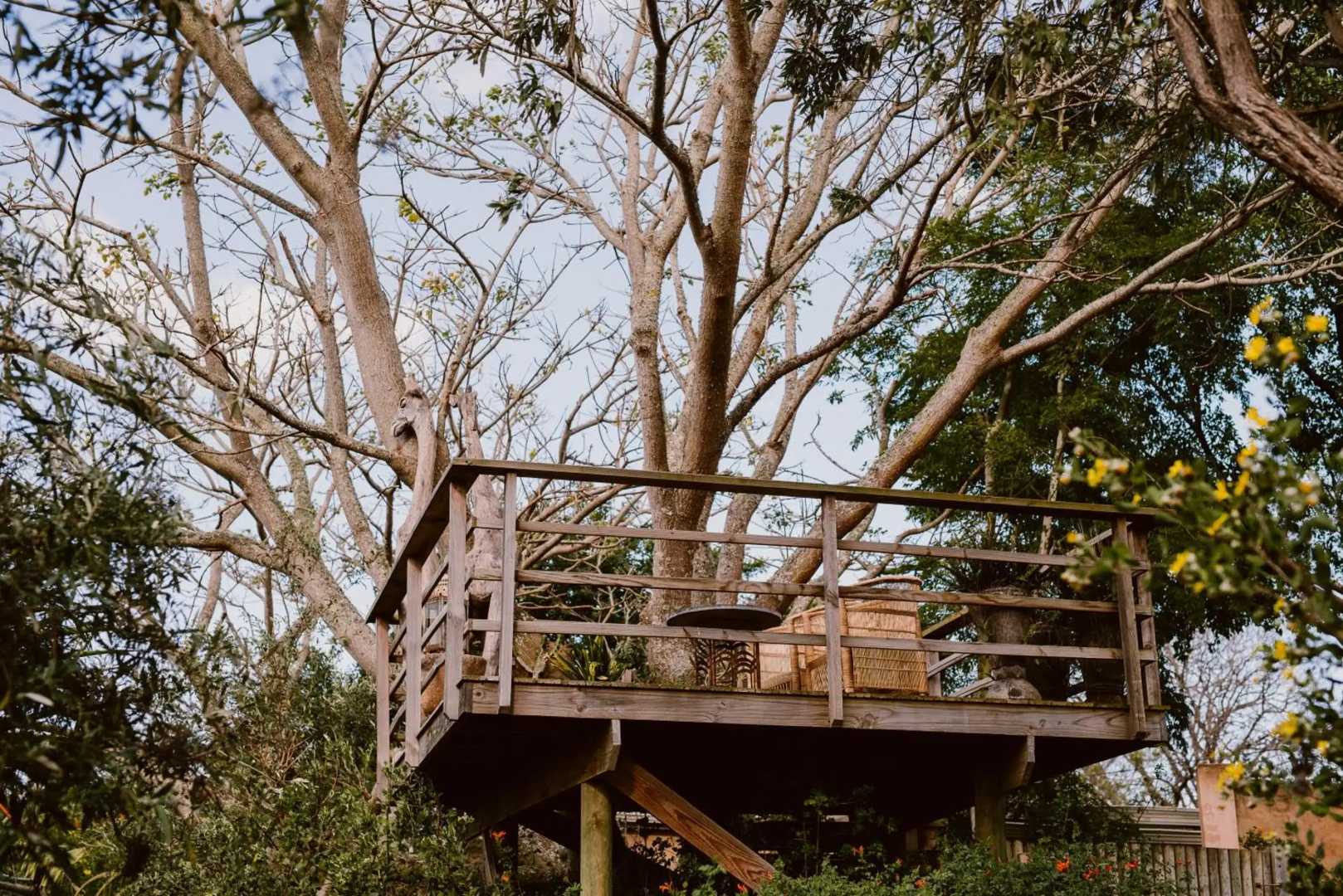 Emily Moon River Lodge