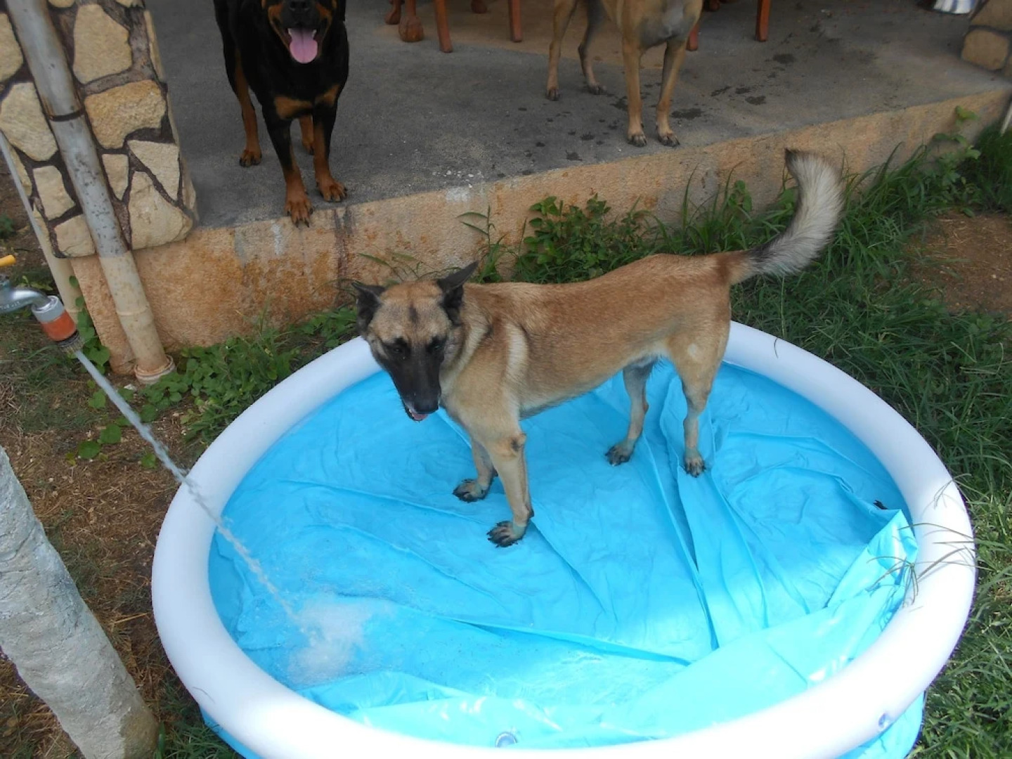 Parrot Paradise Resort