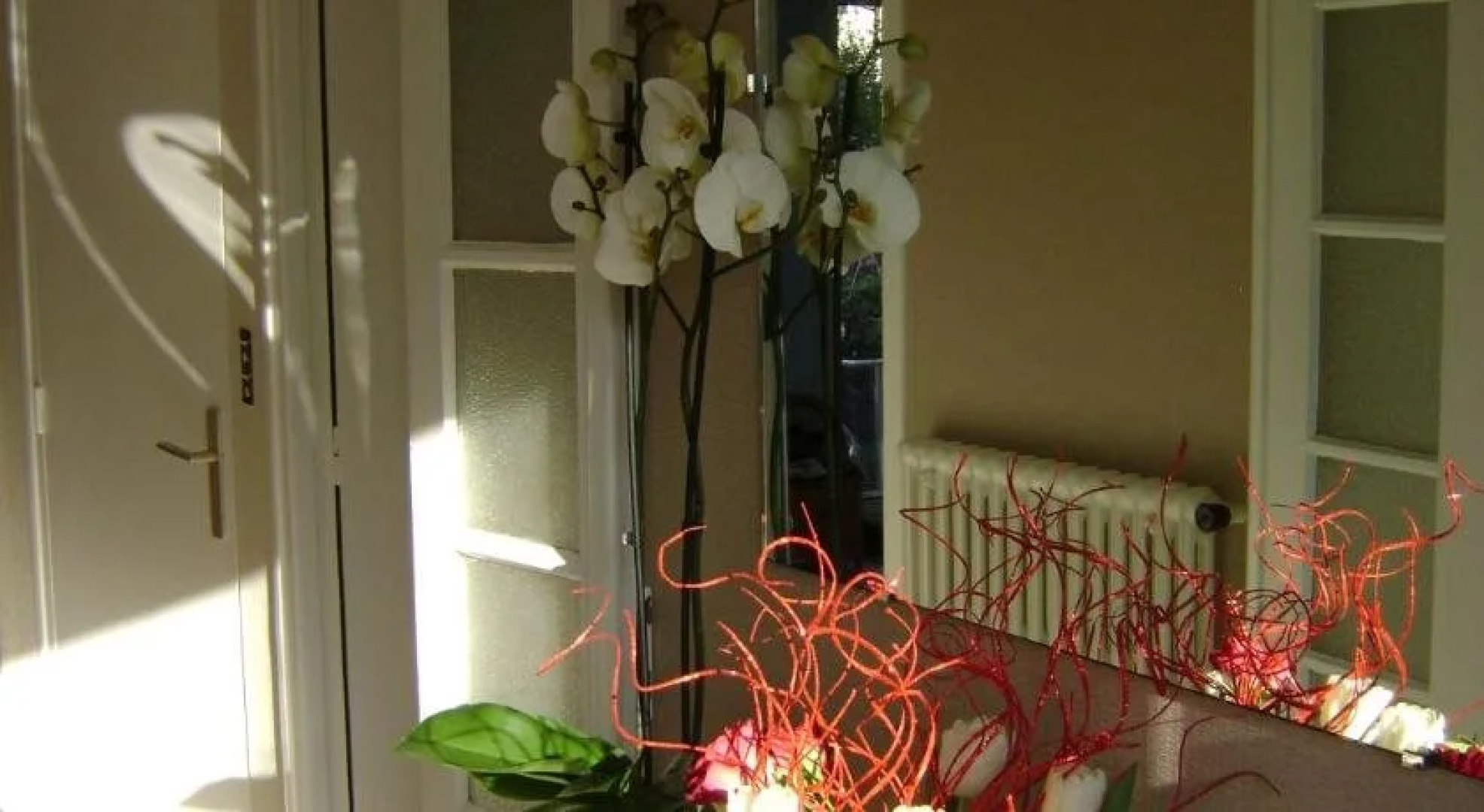 Chambre dhôtes La Masana