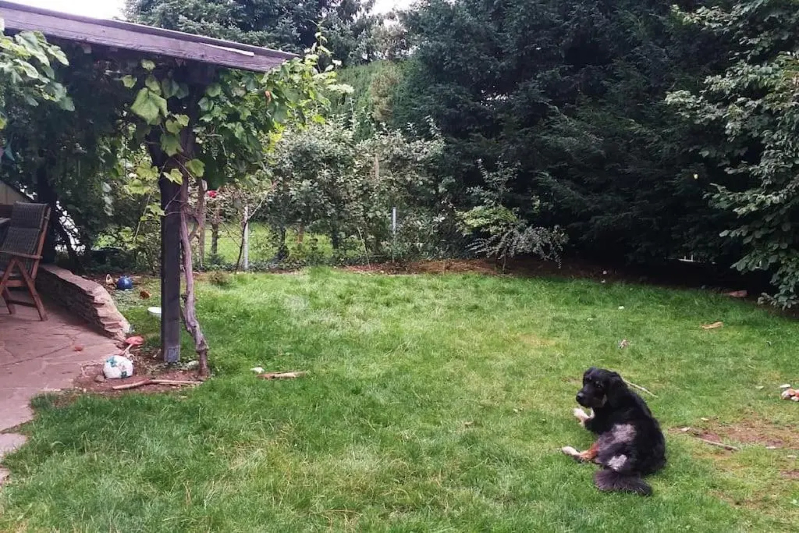 2-Zimmer Dg-Apartment Mit Eigener Sauna