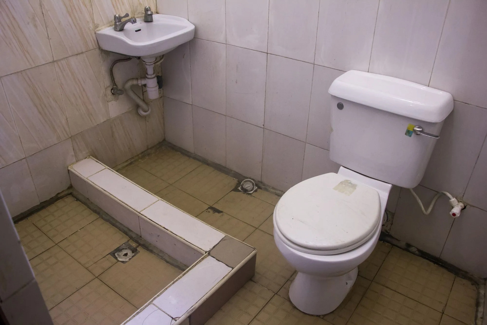 Golden Bird Hotel & Suites