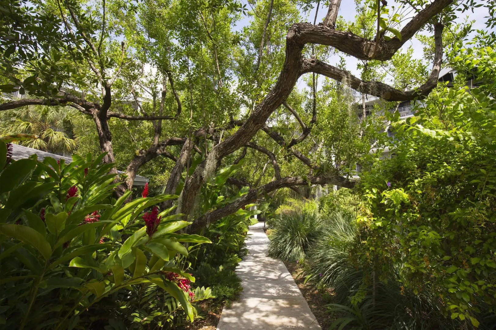 1800 Atlantic Suites