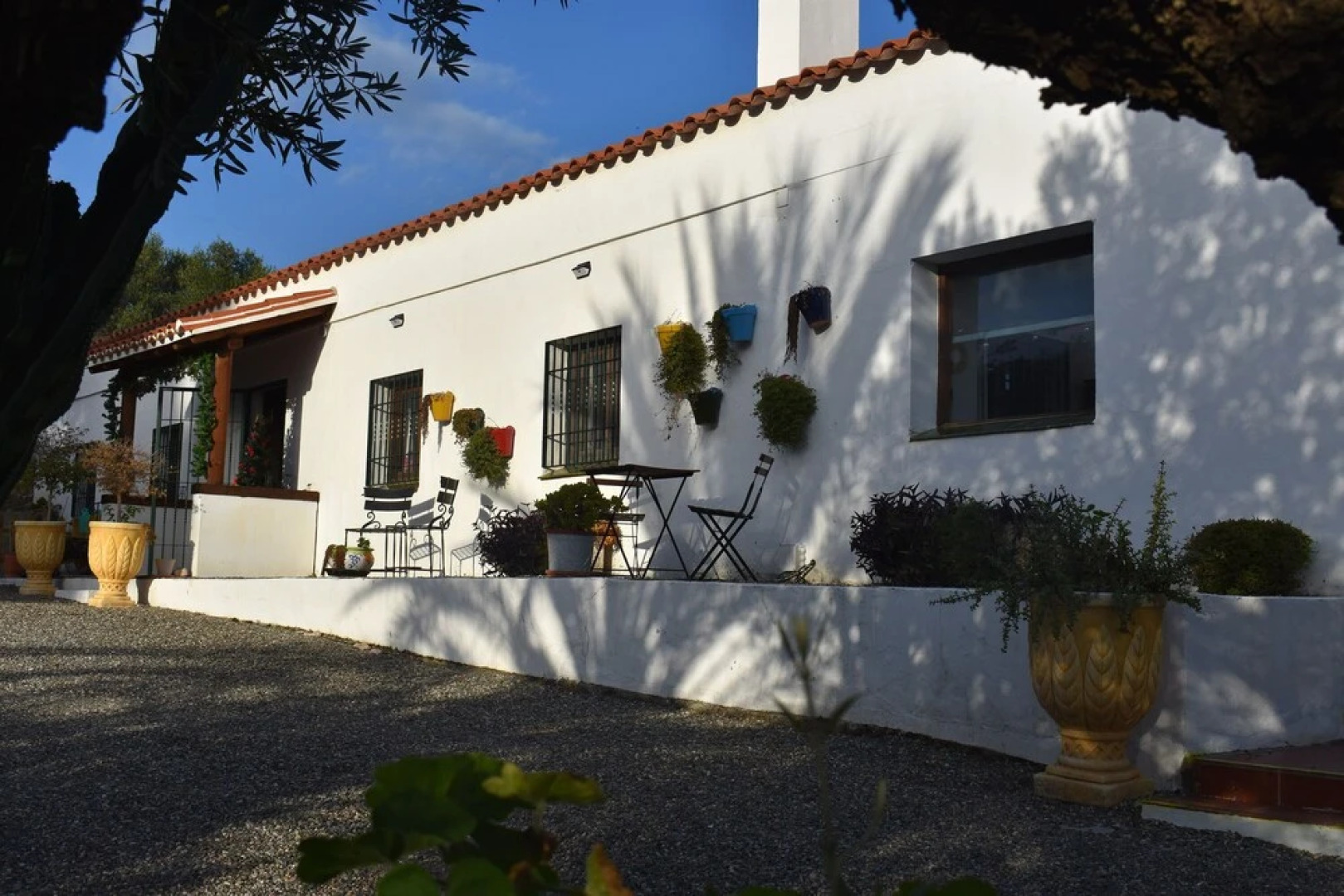 B&B Casa Palmera - Adults Only