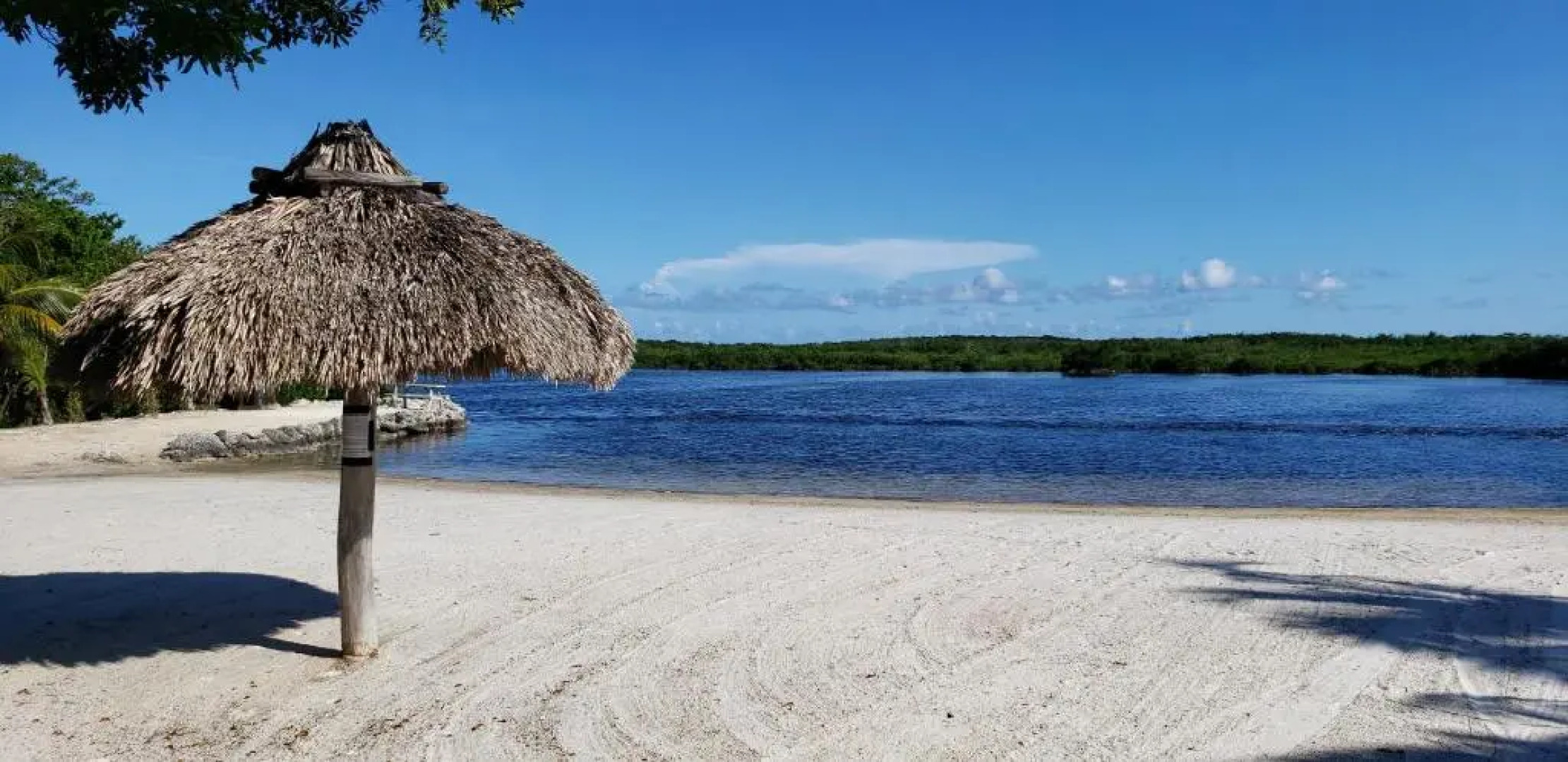 Tiny House RV, Kayak