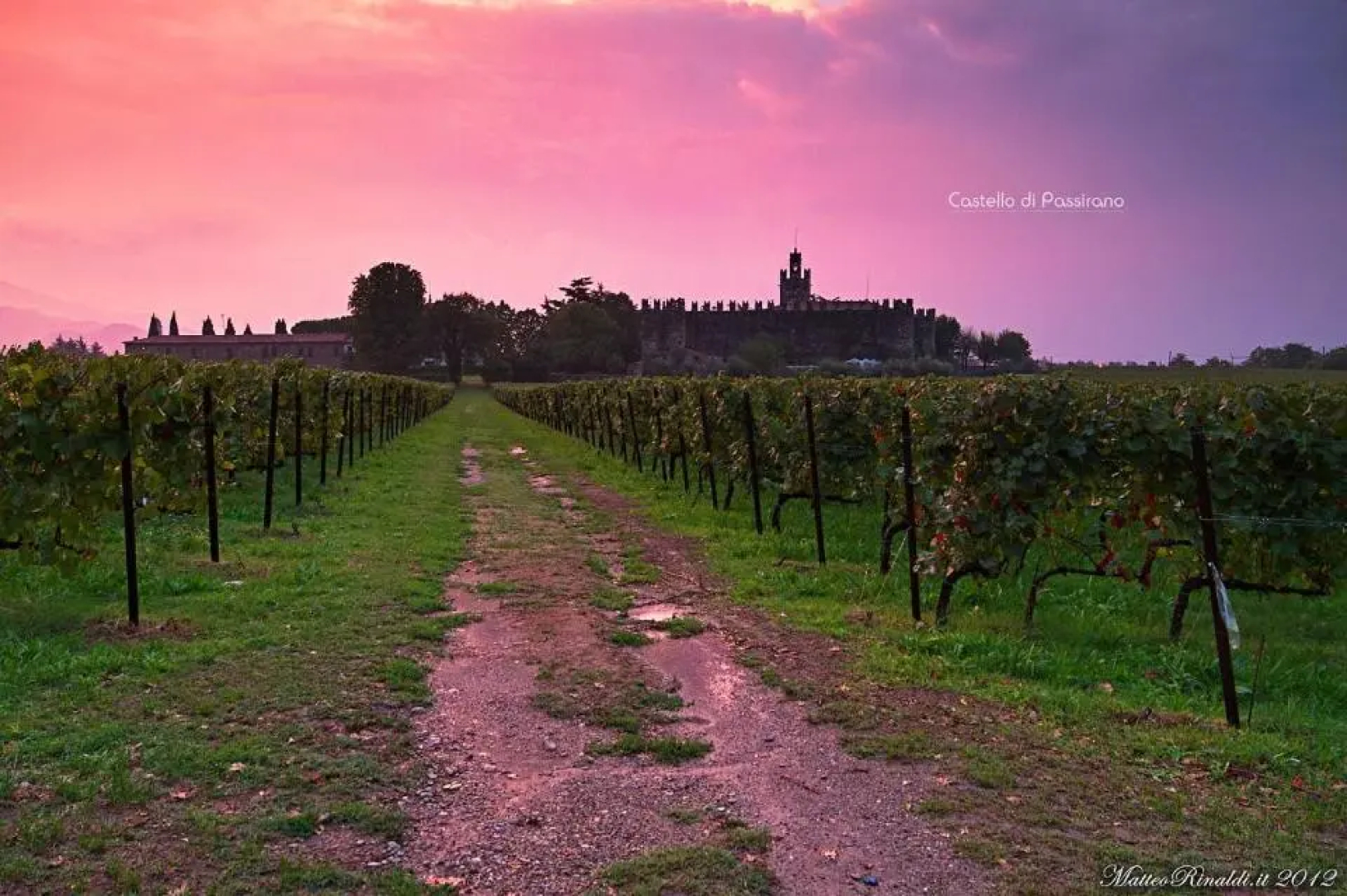 Wine & Lake In Franciacorta