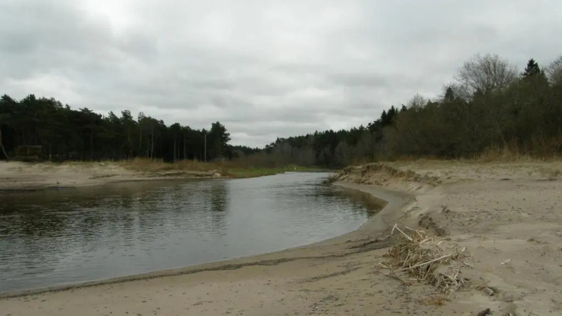 Arma Riding Farm And Holiday Home