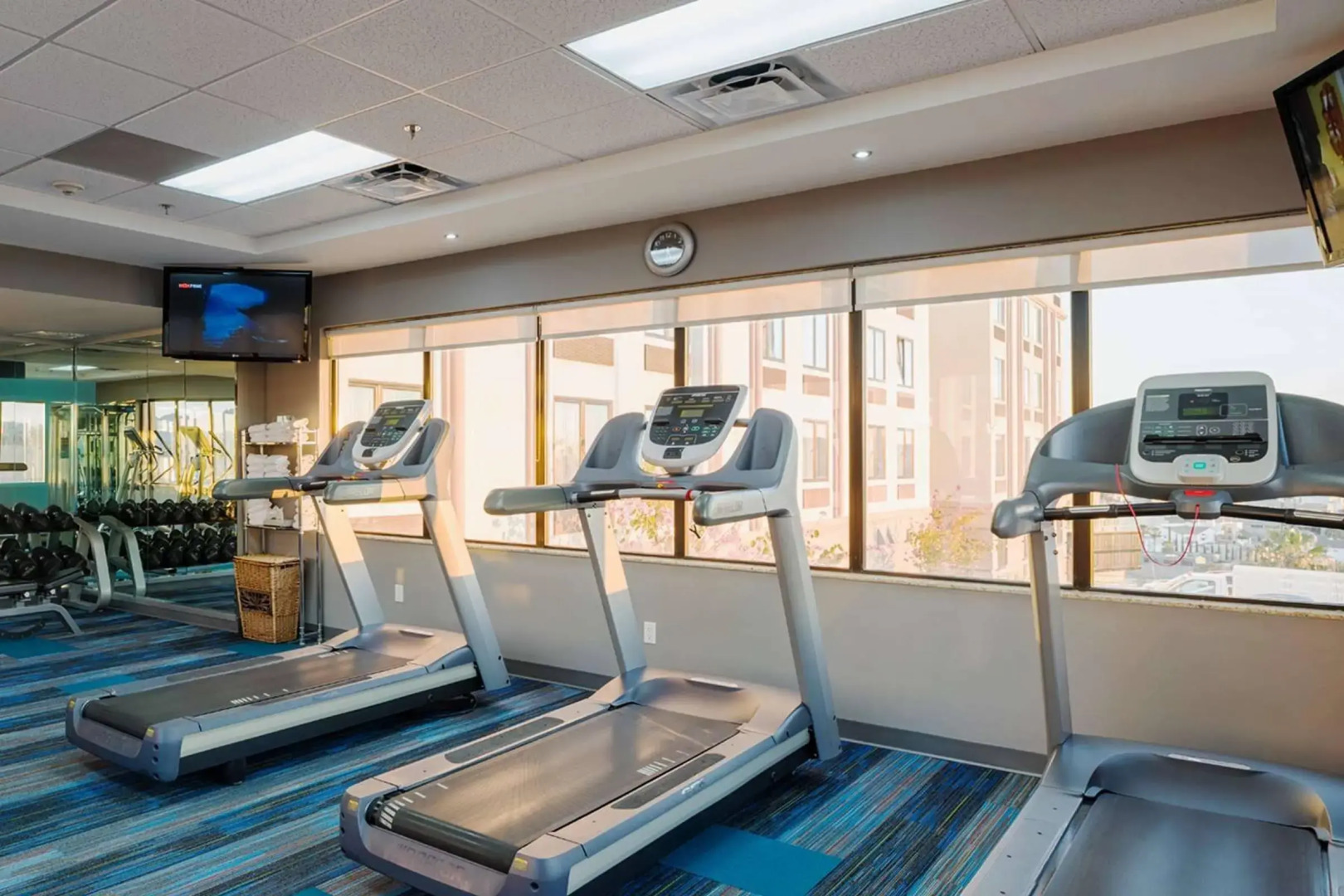 Wingate By Wyndham Chihuahua