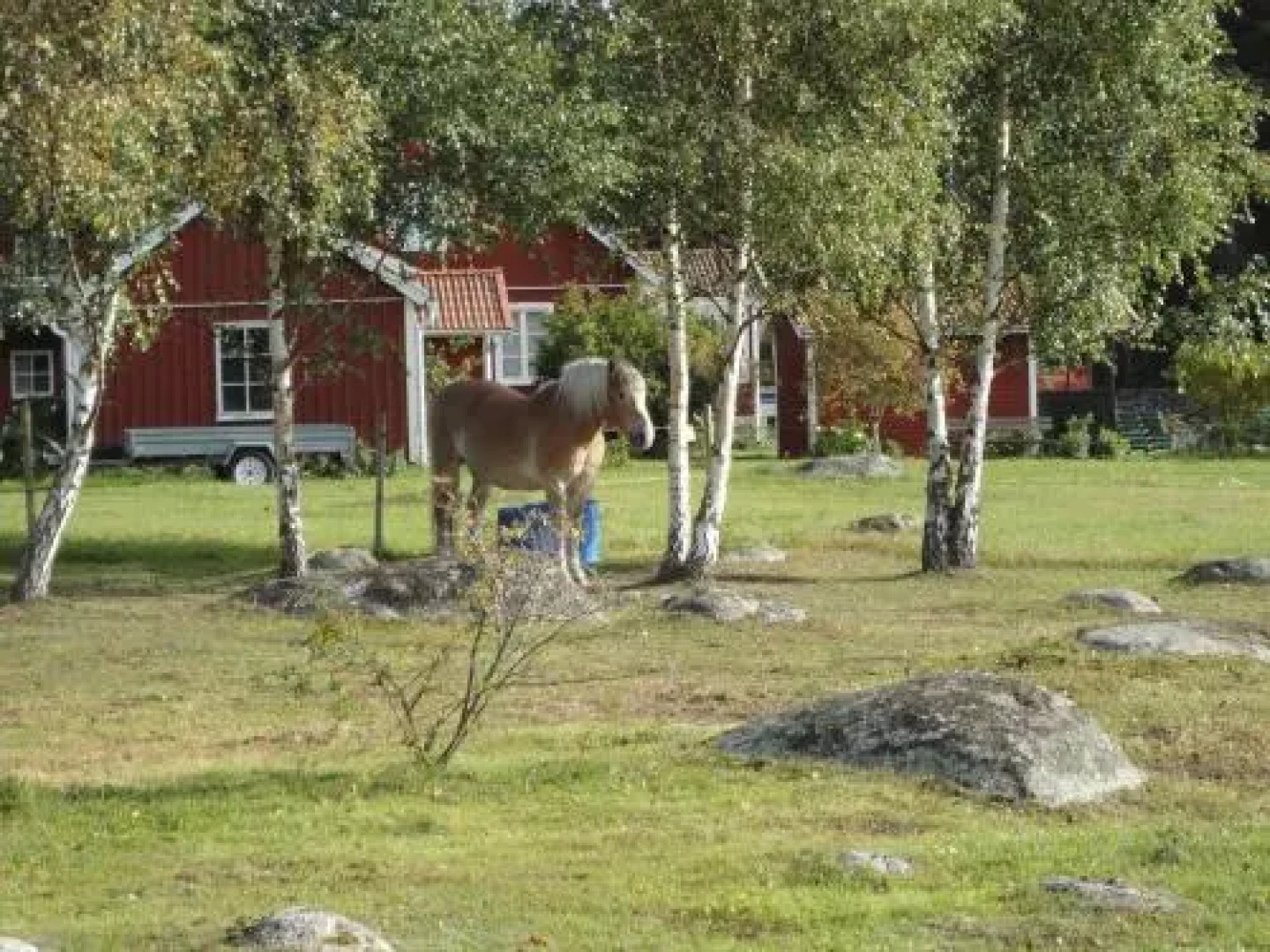 Yndegården Sölvesborg Hostel