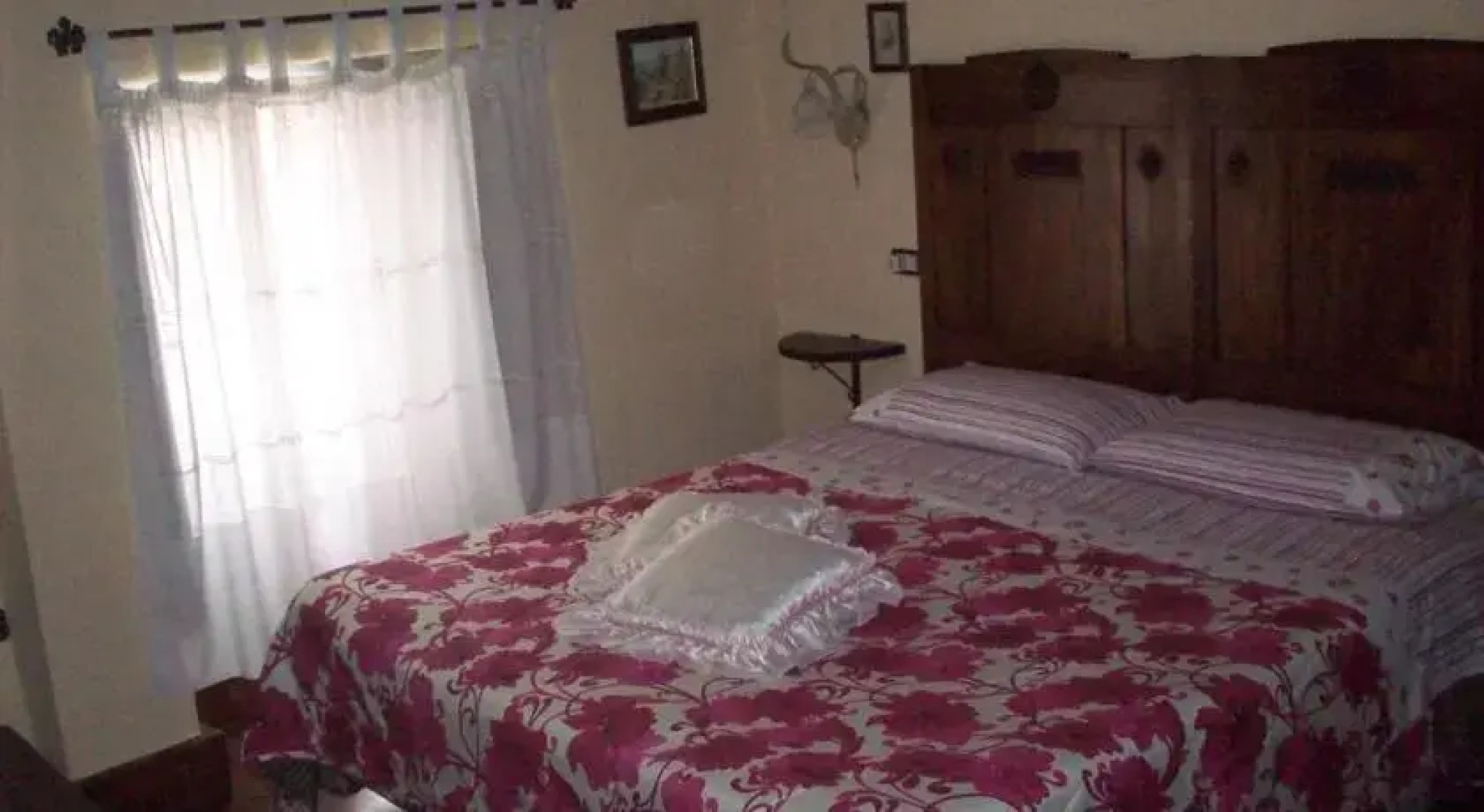 Paolo e Lella leonessa