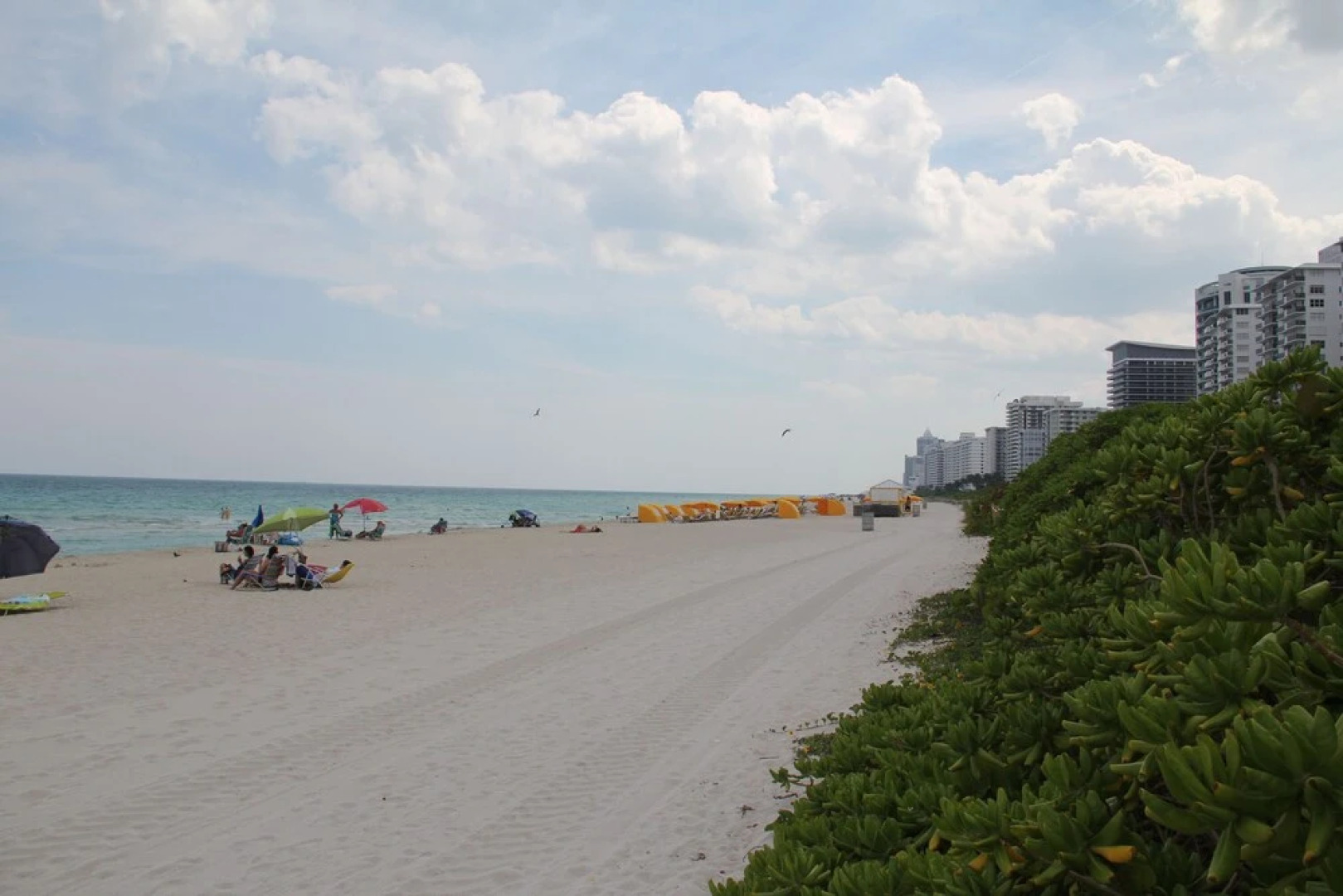 Ocean View Miami Beach Apartment