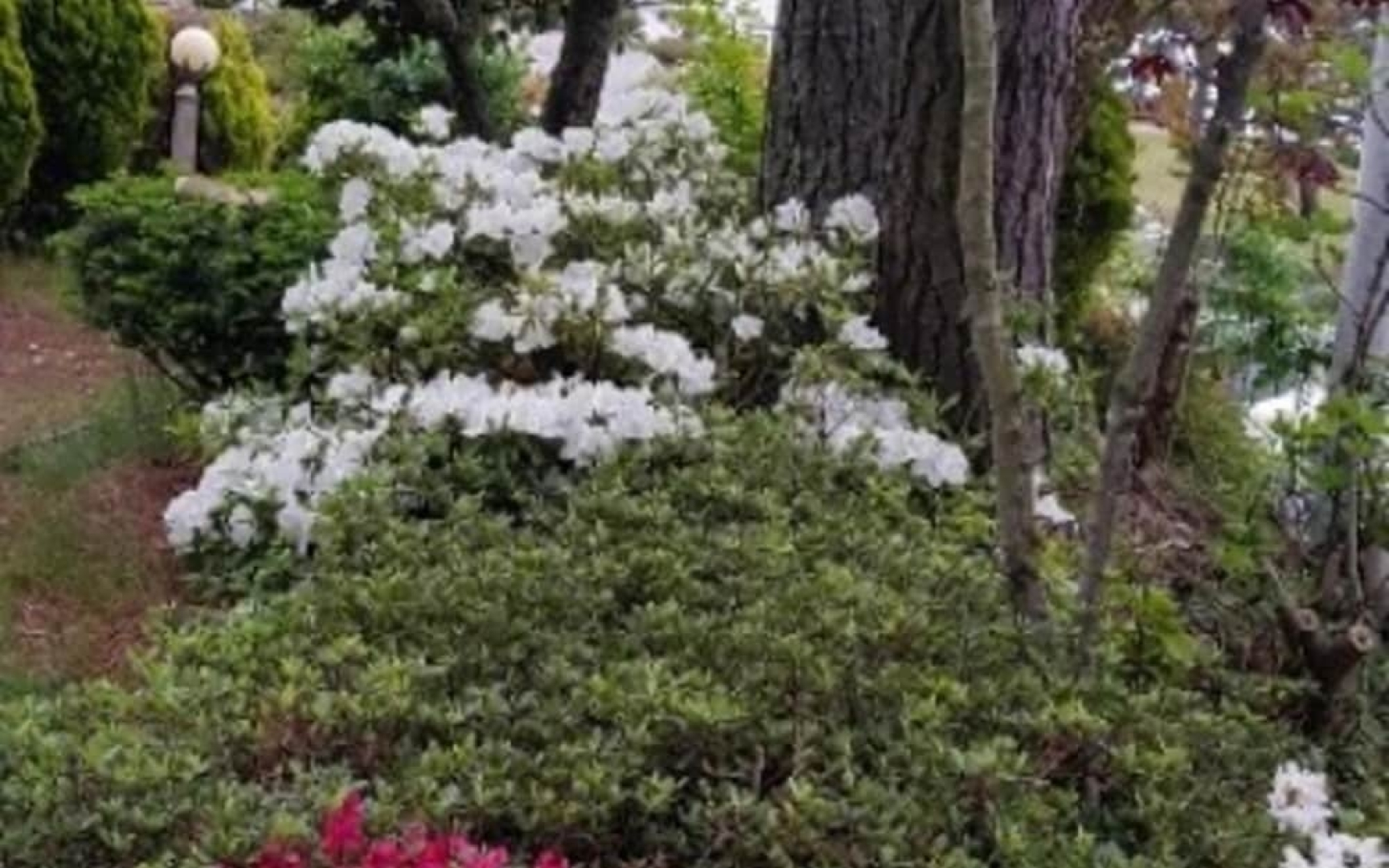 Taean Log House Pension