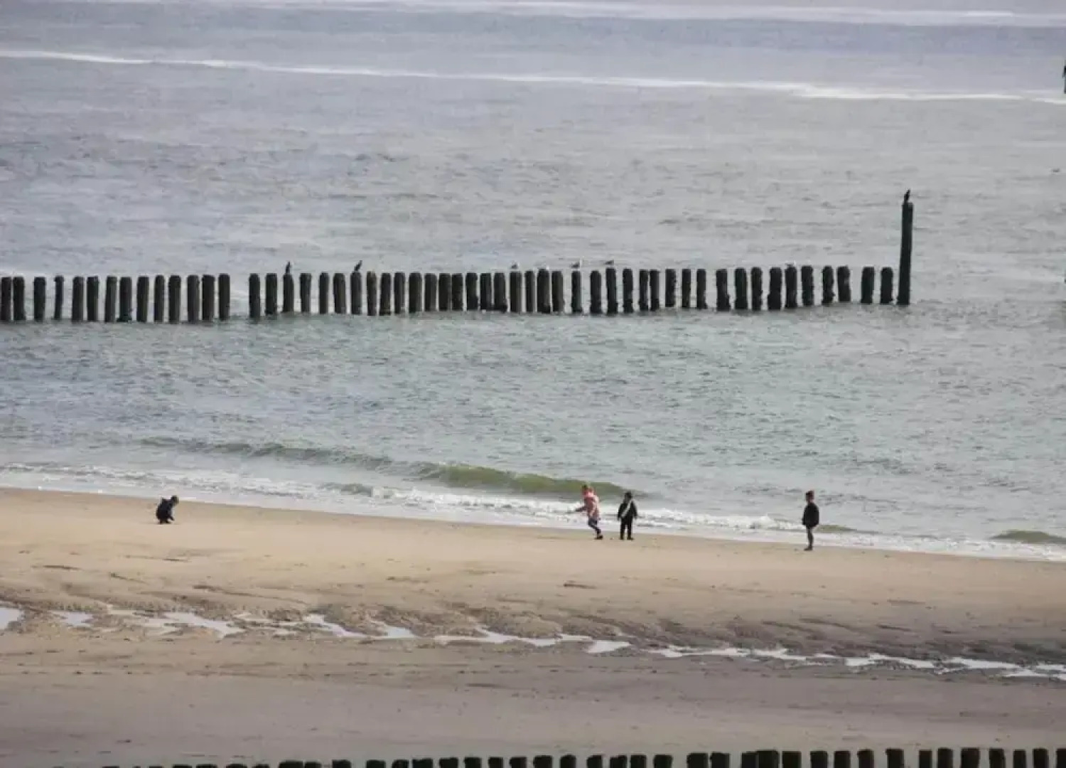 Pet-friendly Escape by the Sea