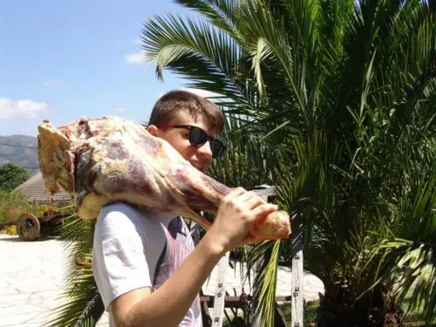 Quinta de Santa Marinha