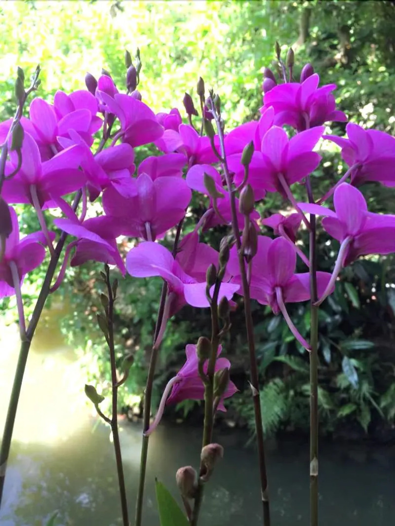 Xoi Homestay Ba Be Lake