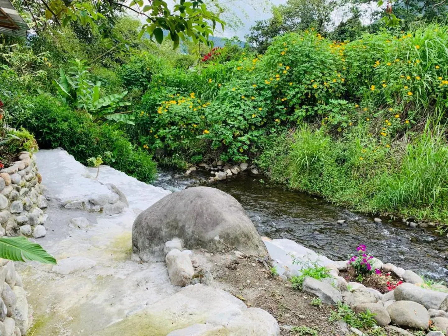 La Casa de Cecilia Mindo