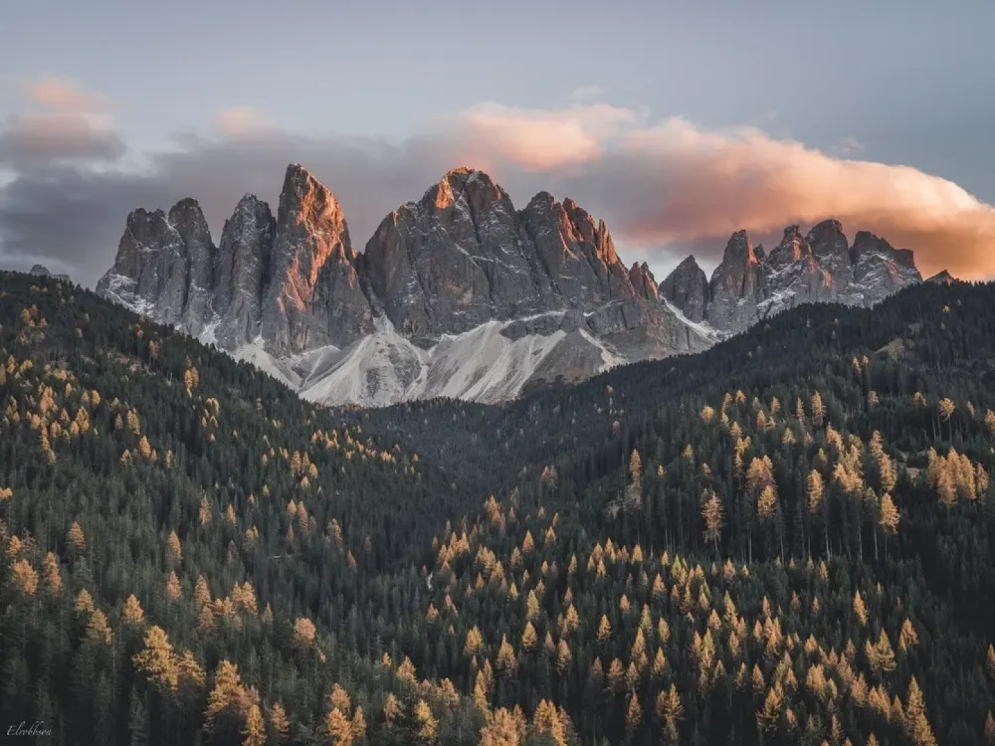 Отель Forestis Dolomites