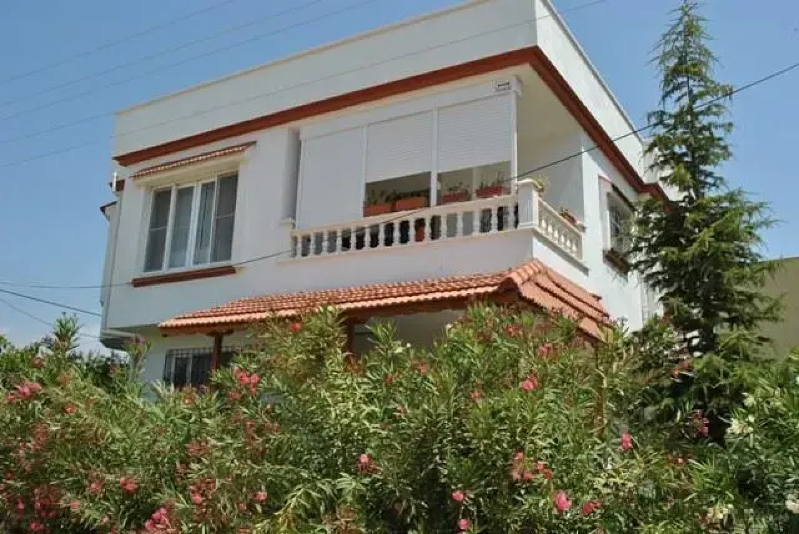 Zeus Villas
