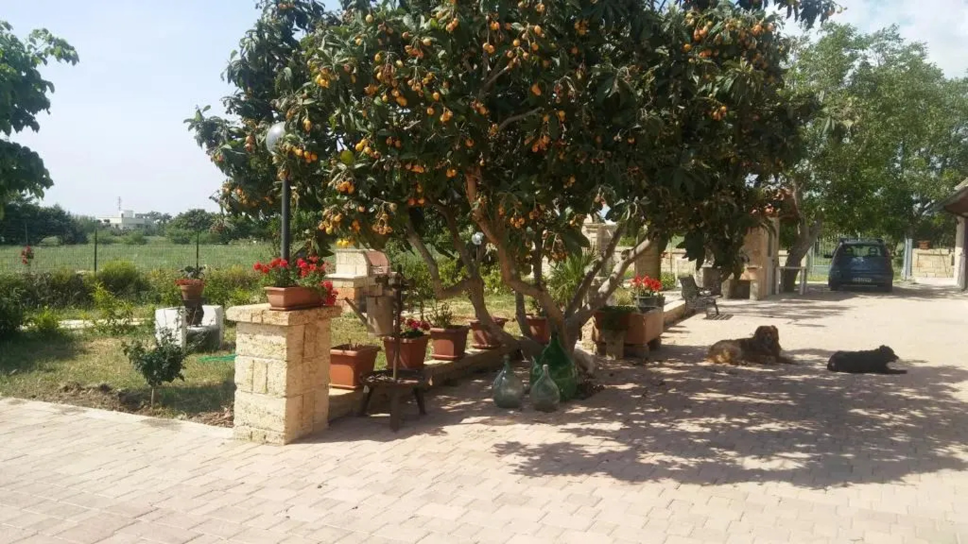 Casa Vacanze Abbazia